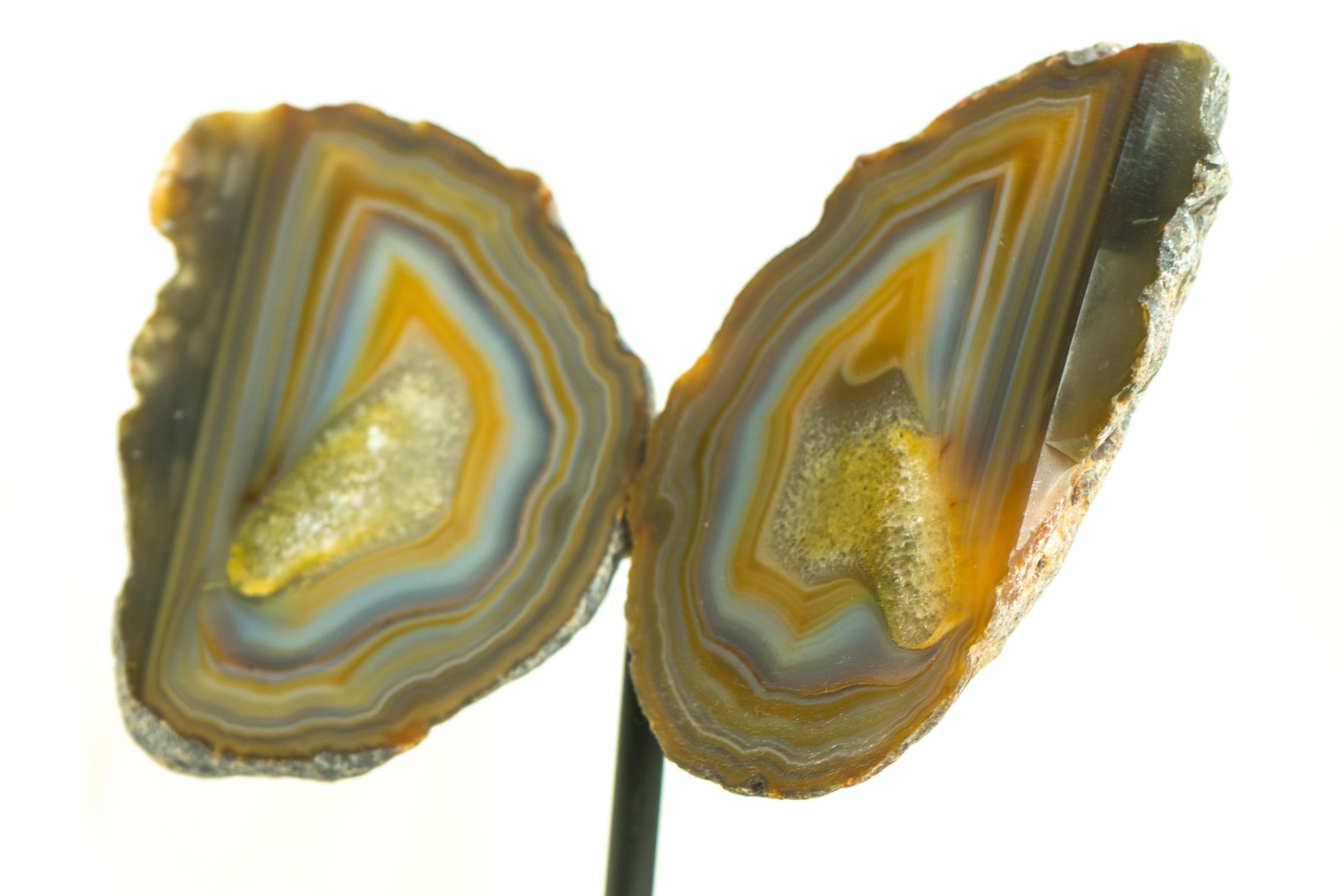 Collector Grade Lace Achat Geode Schmetterling mit mehrfarbigen Achat Schnüre im Zustand „Neu“ im Angebot in Ametista Do Sul, BR