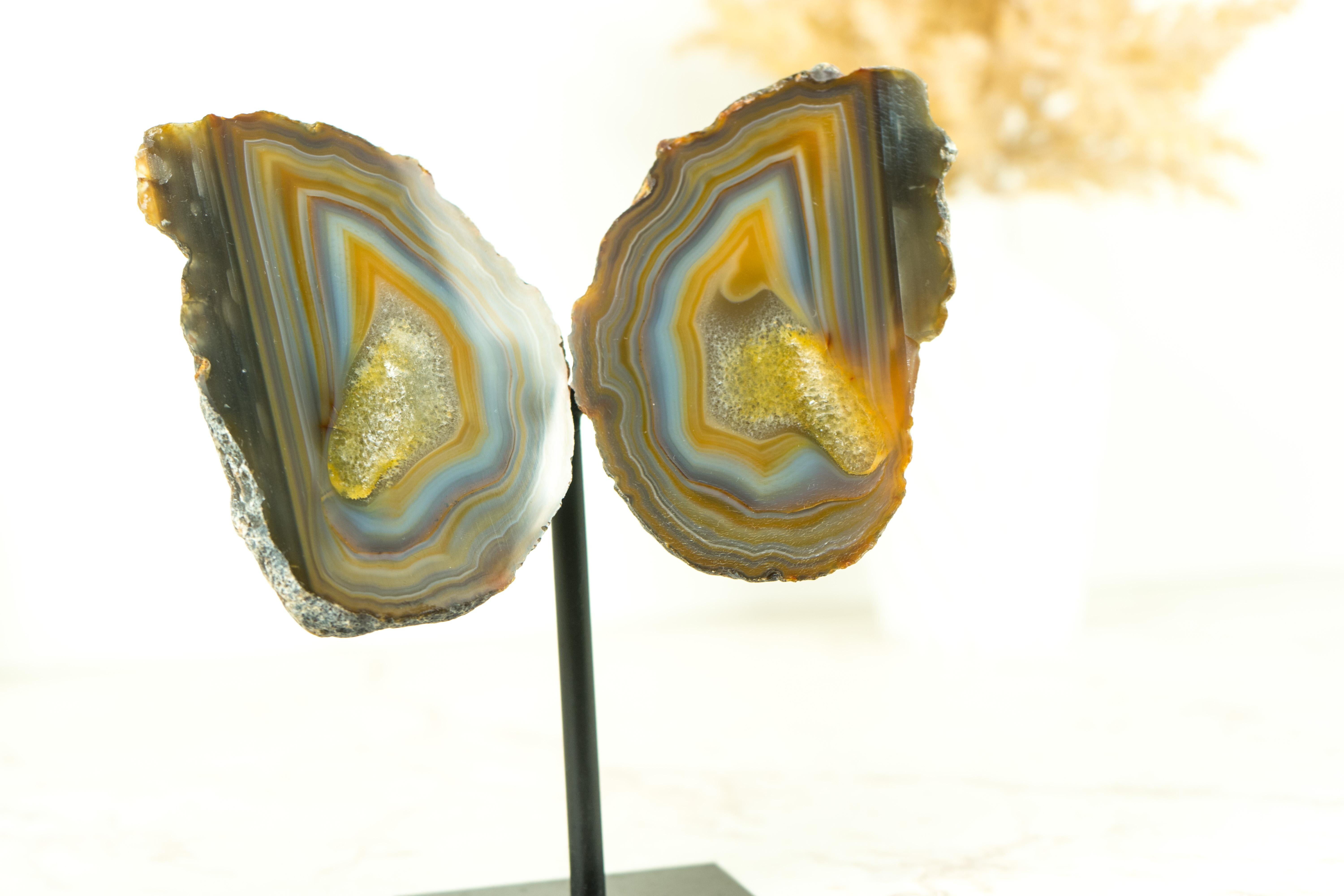 Collector Grade Lace Achat Geode Schmetterling mit mehrfarbigen Achat Schnüre (21. Jahrhundert und zeitgenössisch) im Angebot