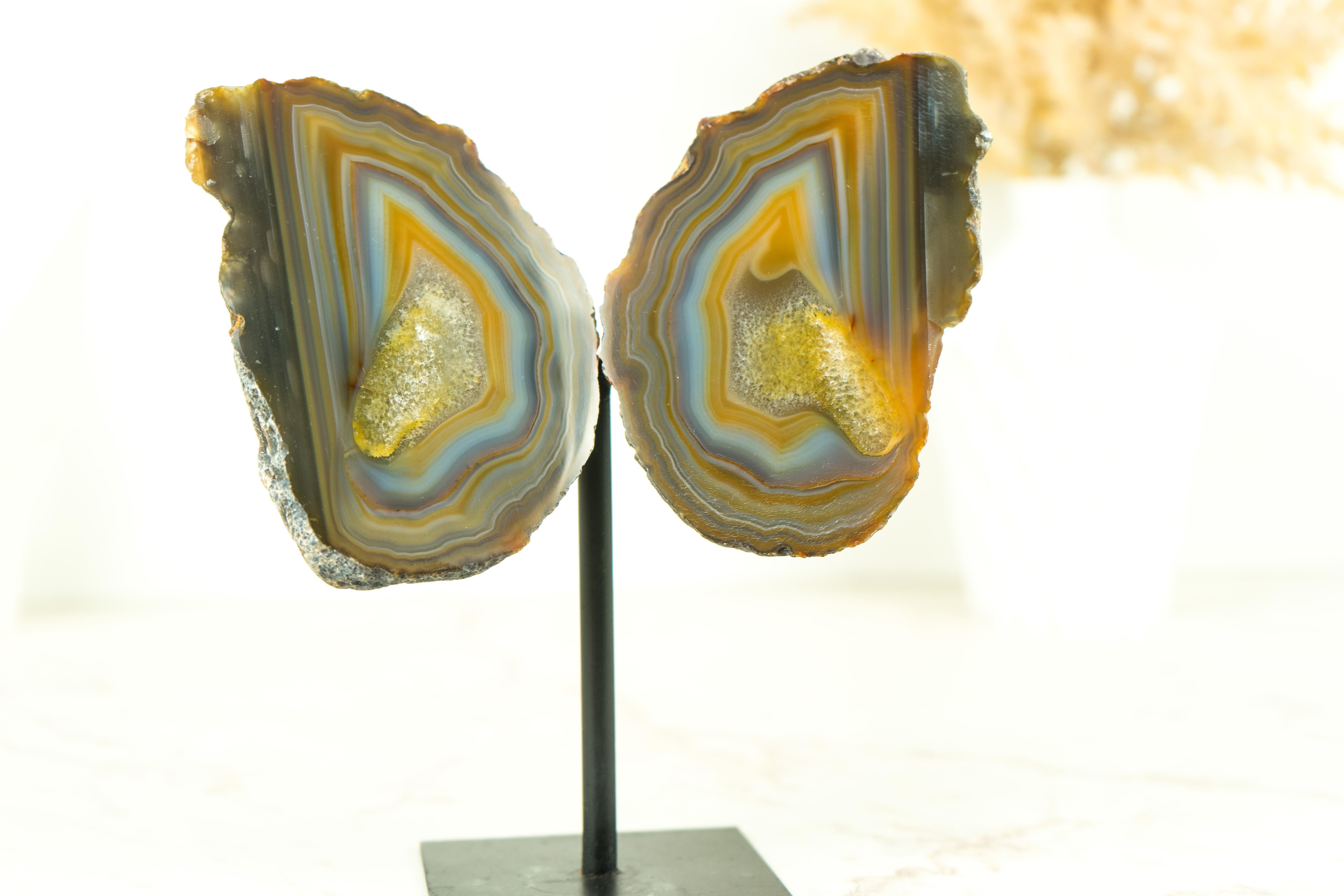 Collector Grade Lace Achat Geode Schmetterling mit mehrfarbigen Achat Schnüre (Bergkristall) im Angebot