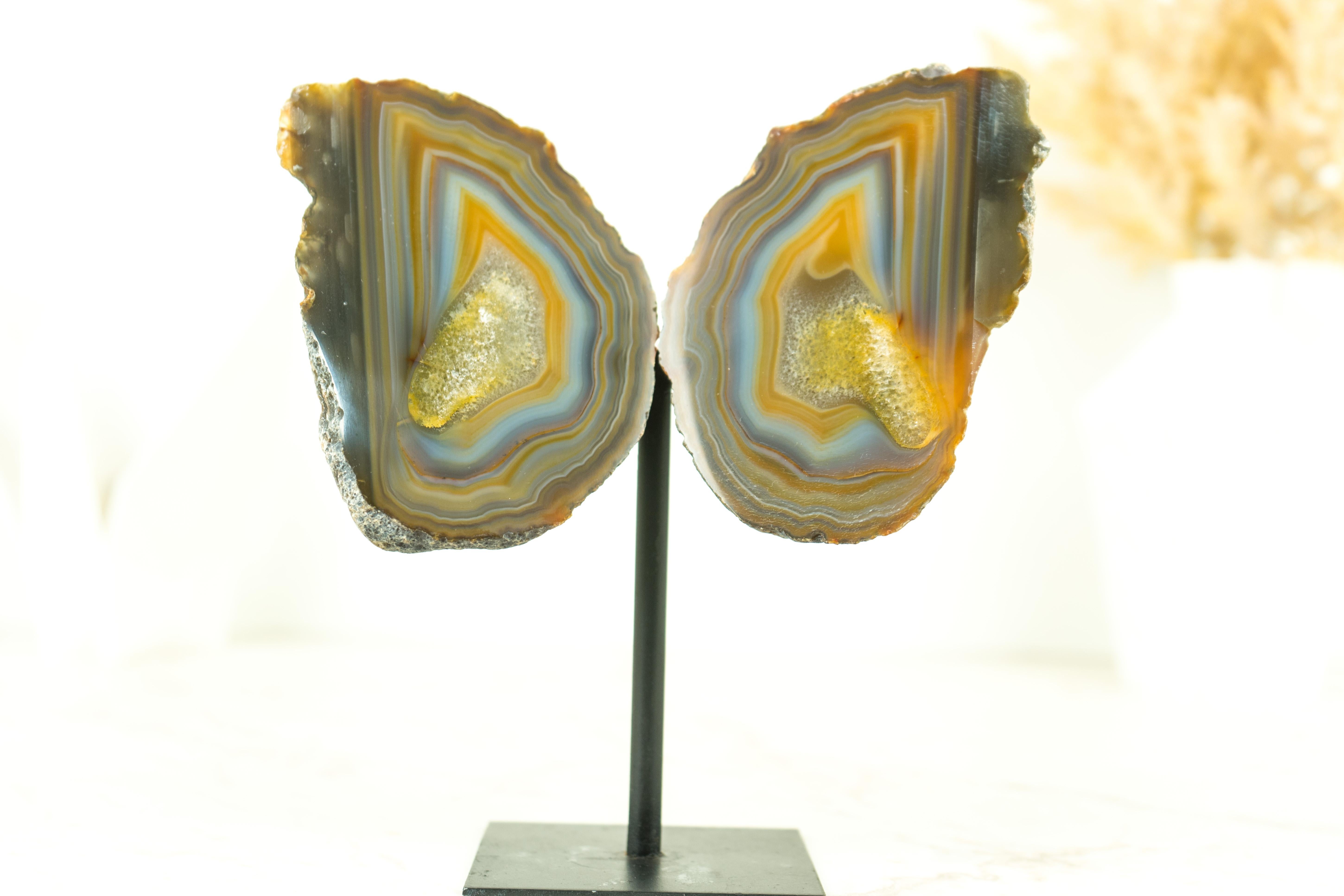 Collector Grade Lace Agate Geode Butterfly with Multicolored Agate Laces For Sale 1