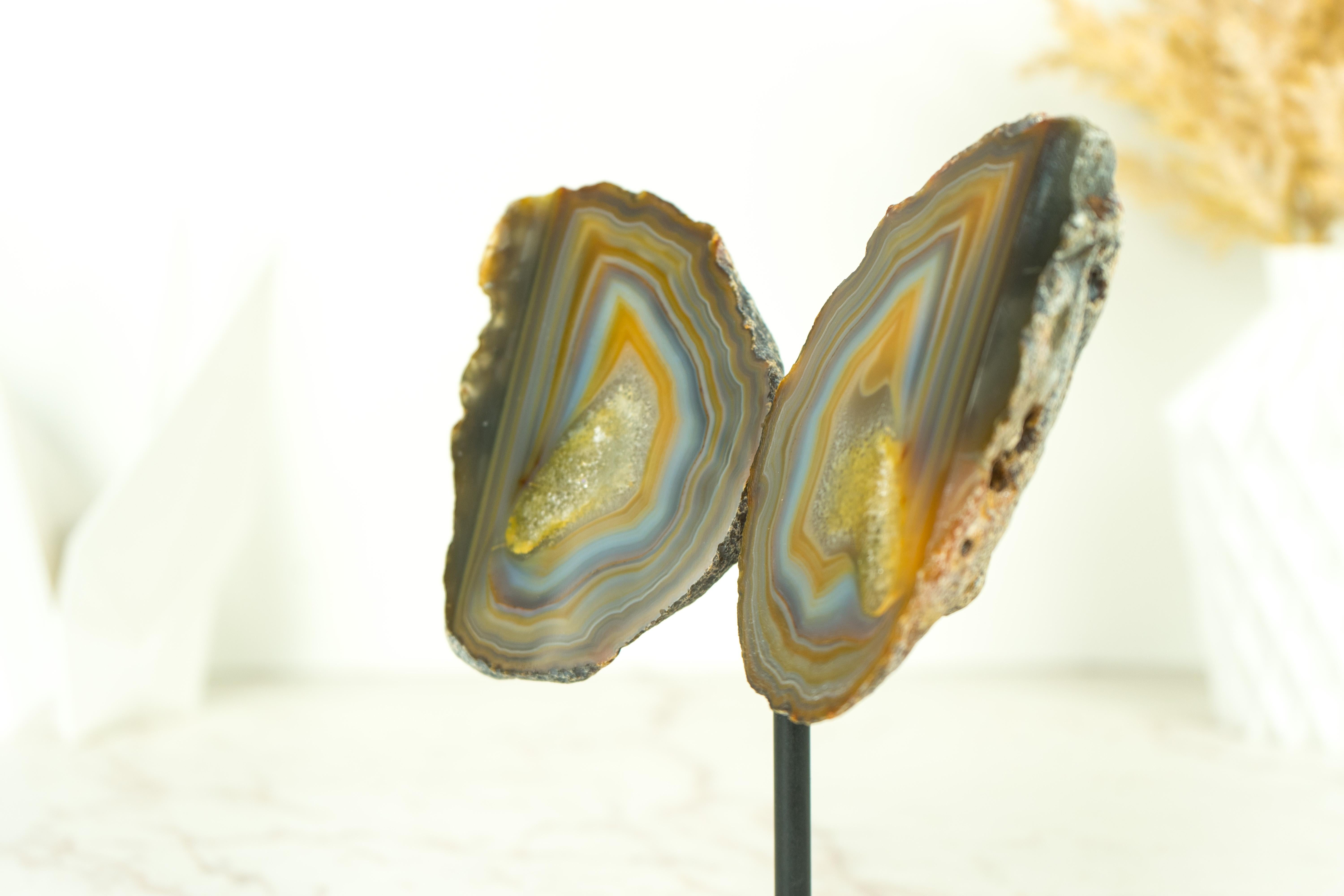 Collector Grade Lace Achat Geode Schmetterling mit mehrfarbigen Achat Schnüre im Angebot 2