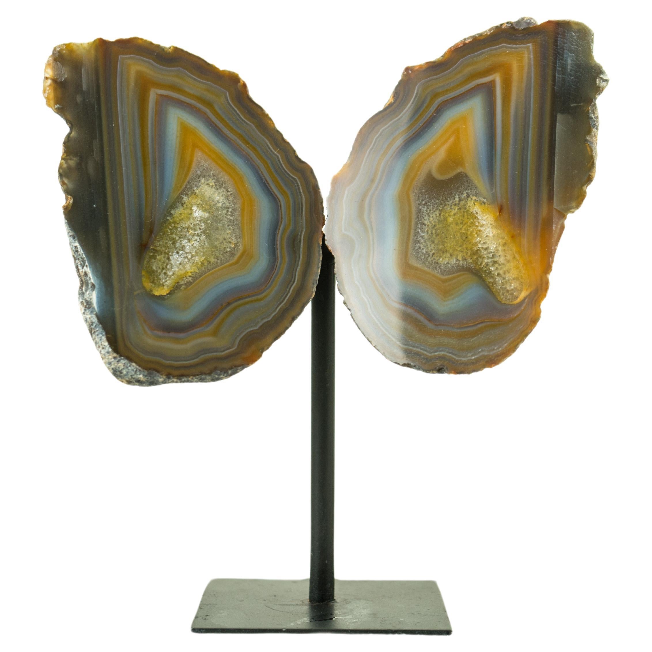 Collector Grade Lace Agate Geode Butterfly with Multicolored Agate Laces For Sale