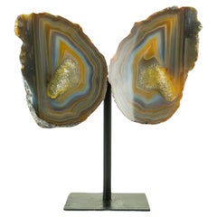 Collector Grade Lace Achat Geode Schmetterling mit mehrfarbigen Achat Schnüre