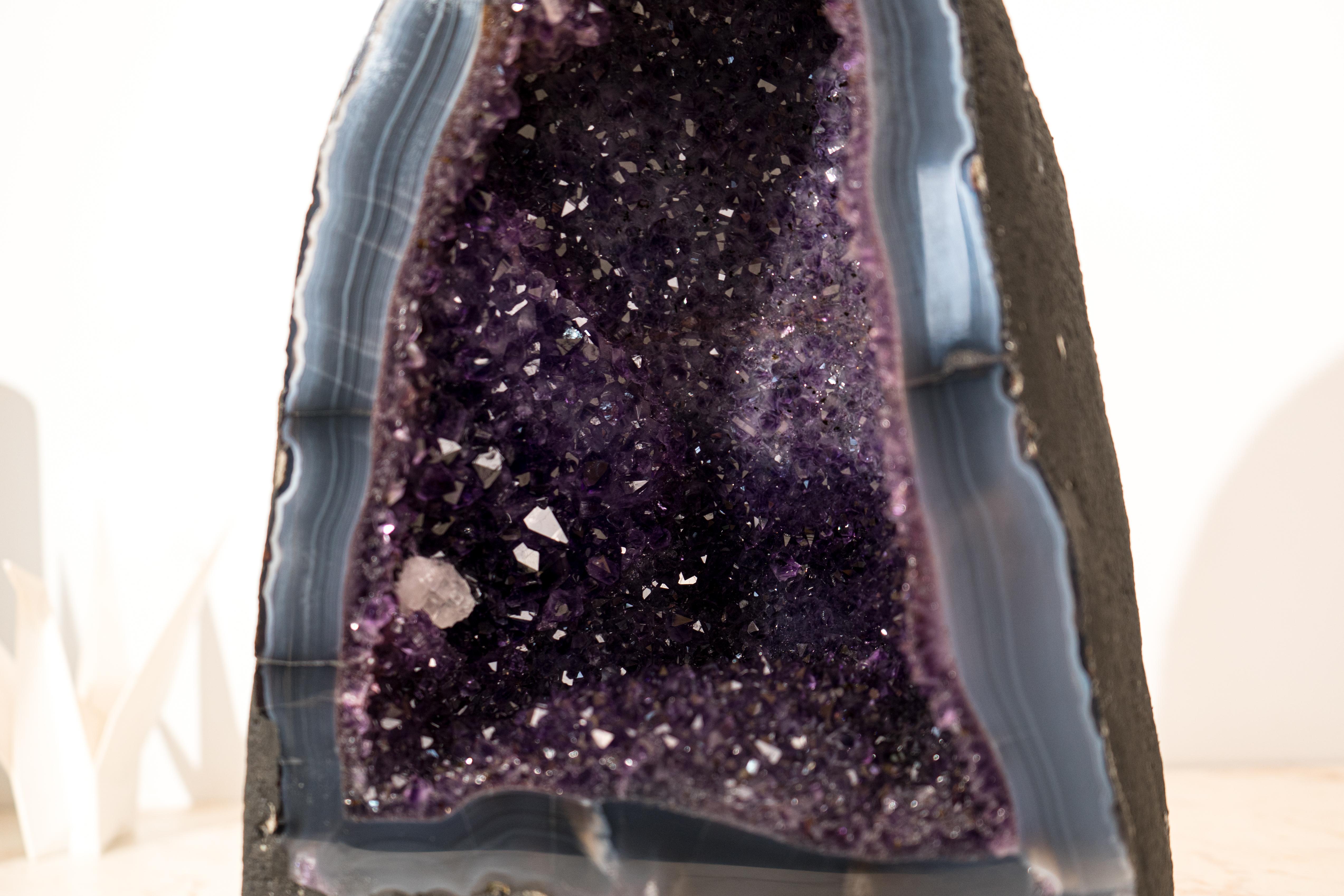 Collector-Grade Pair of Deep Purple Amethyst Geodes on Intact Blue Lace Agate For Sale 5