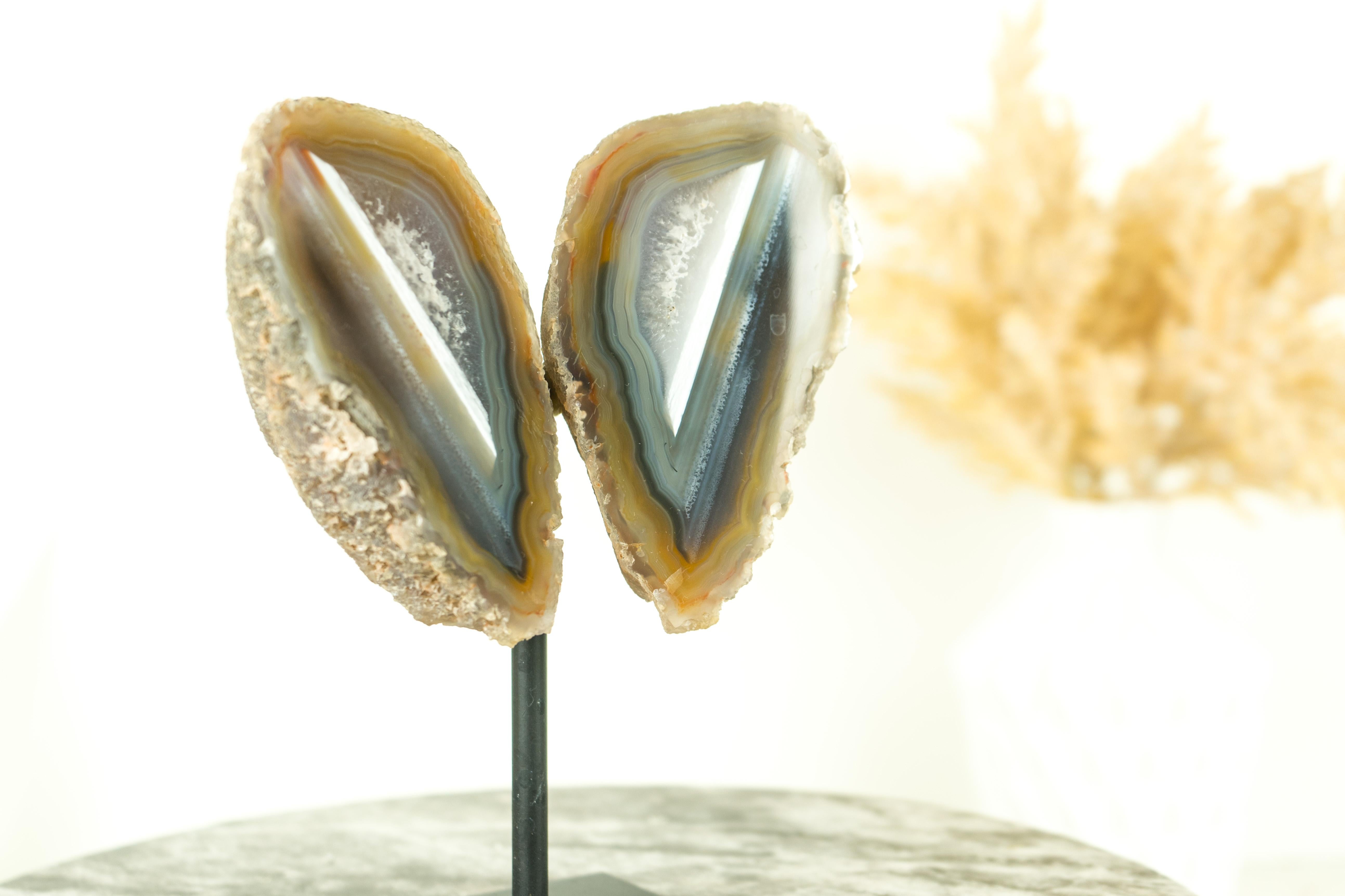 Collector Grade Water Lined Agate Geode, cut in Butterfly Wings Format For Sale 3