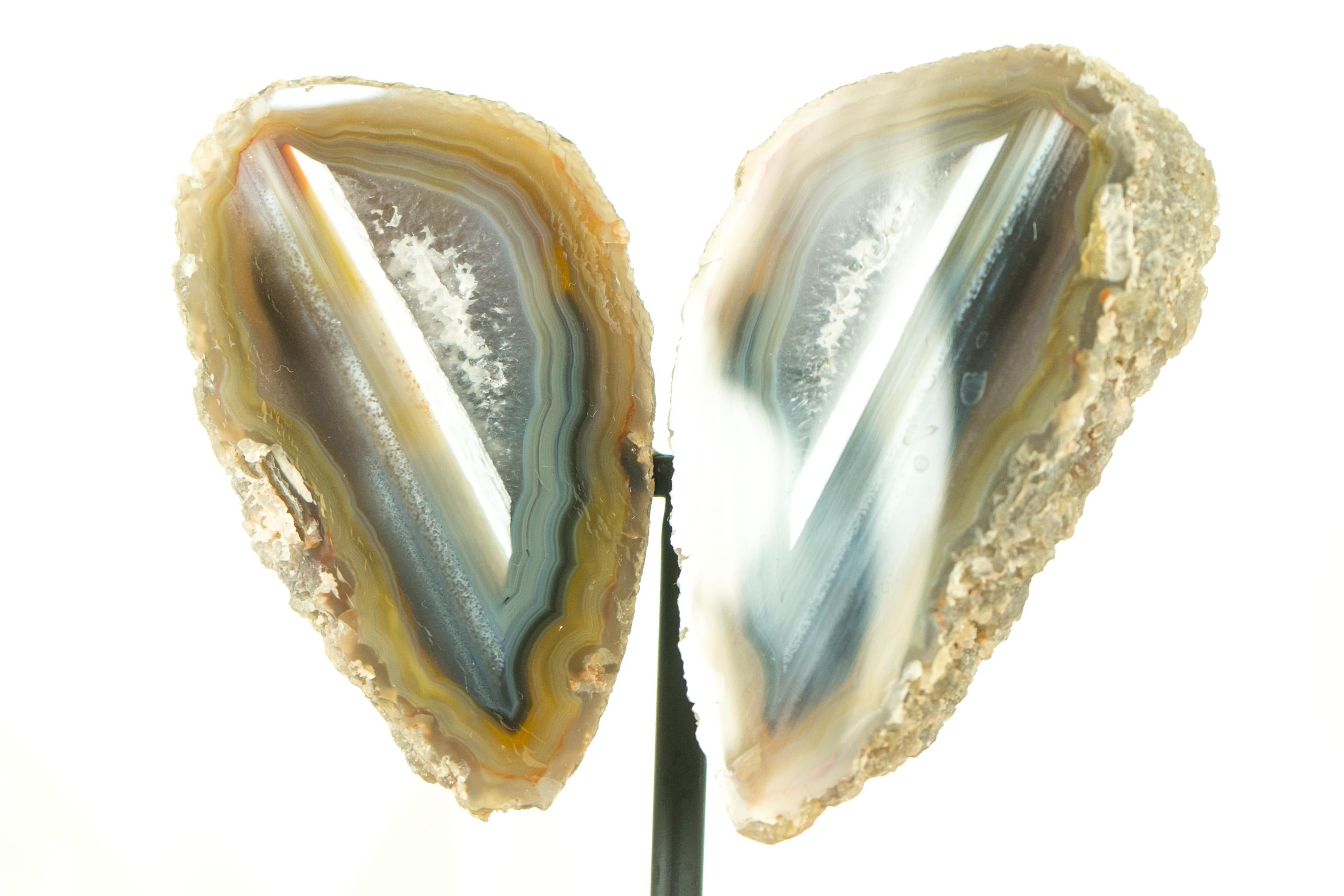 Collector Grade Water Lined Agate Geode, cut in Butterfly Wings Format For Sale 4