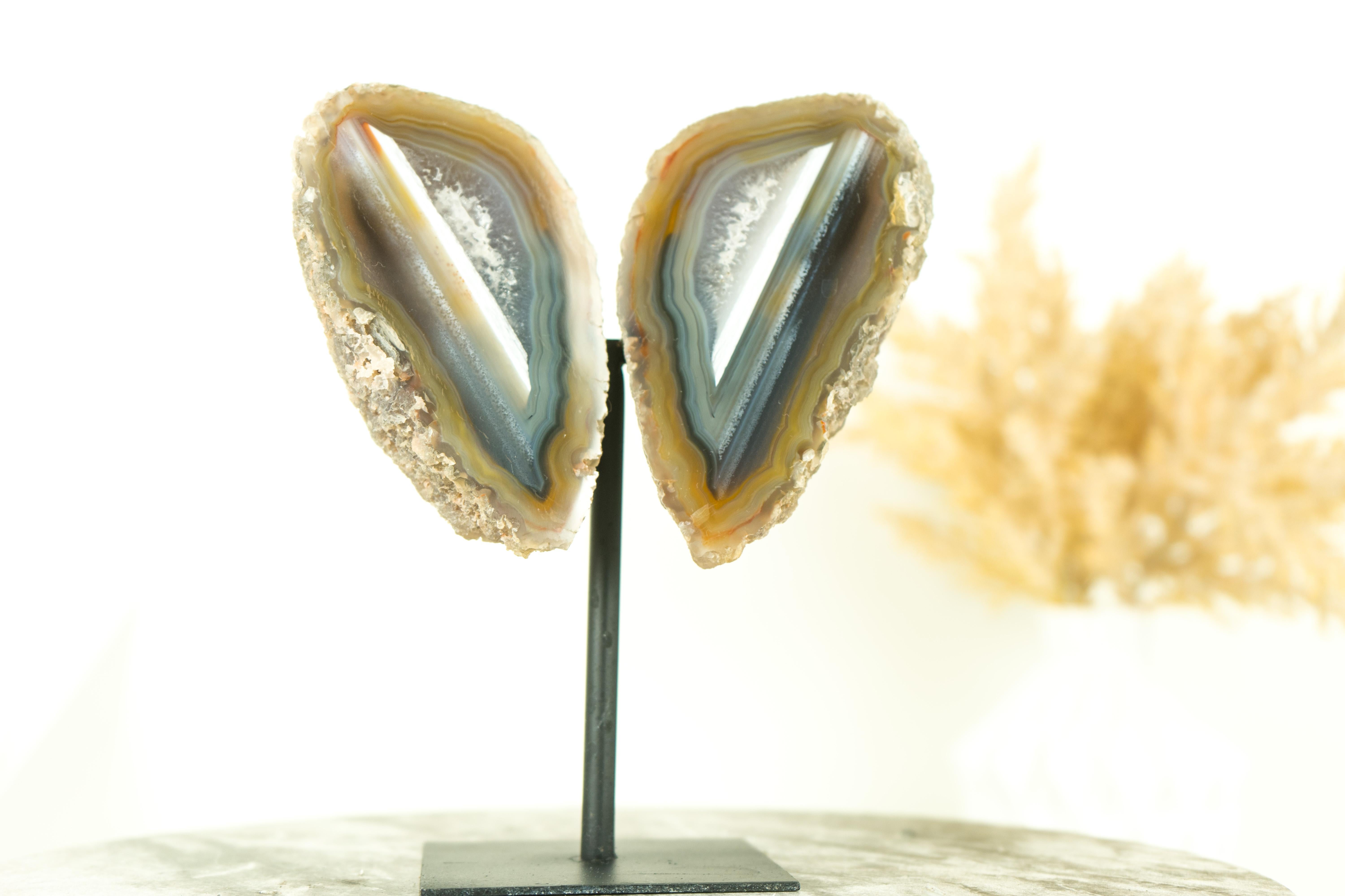 Collector Grade Water Lined Agate Geode, cut in Butterfly Wings Format For Sale 5