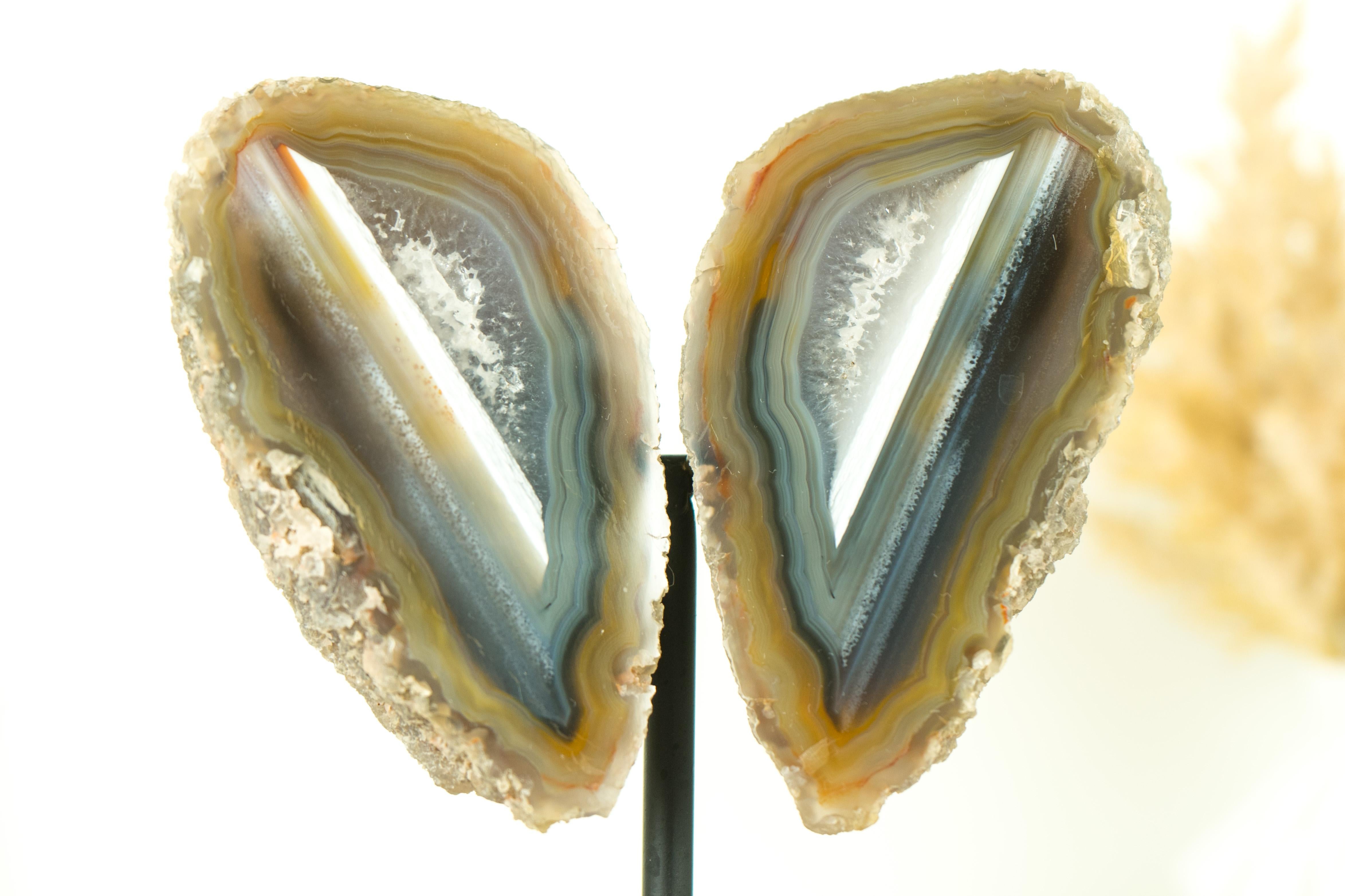 Collector Grade Water Lined Agate Geode, cut in Butterfly Wings Format For Sale 6
