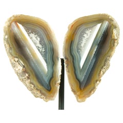 Geode di agata foderato d'acqua da collezione, tagliato in formato ali di farfalla