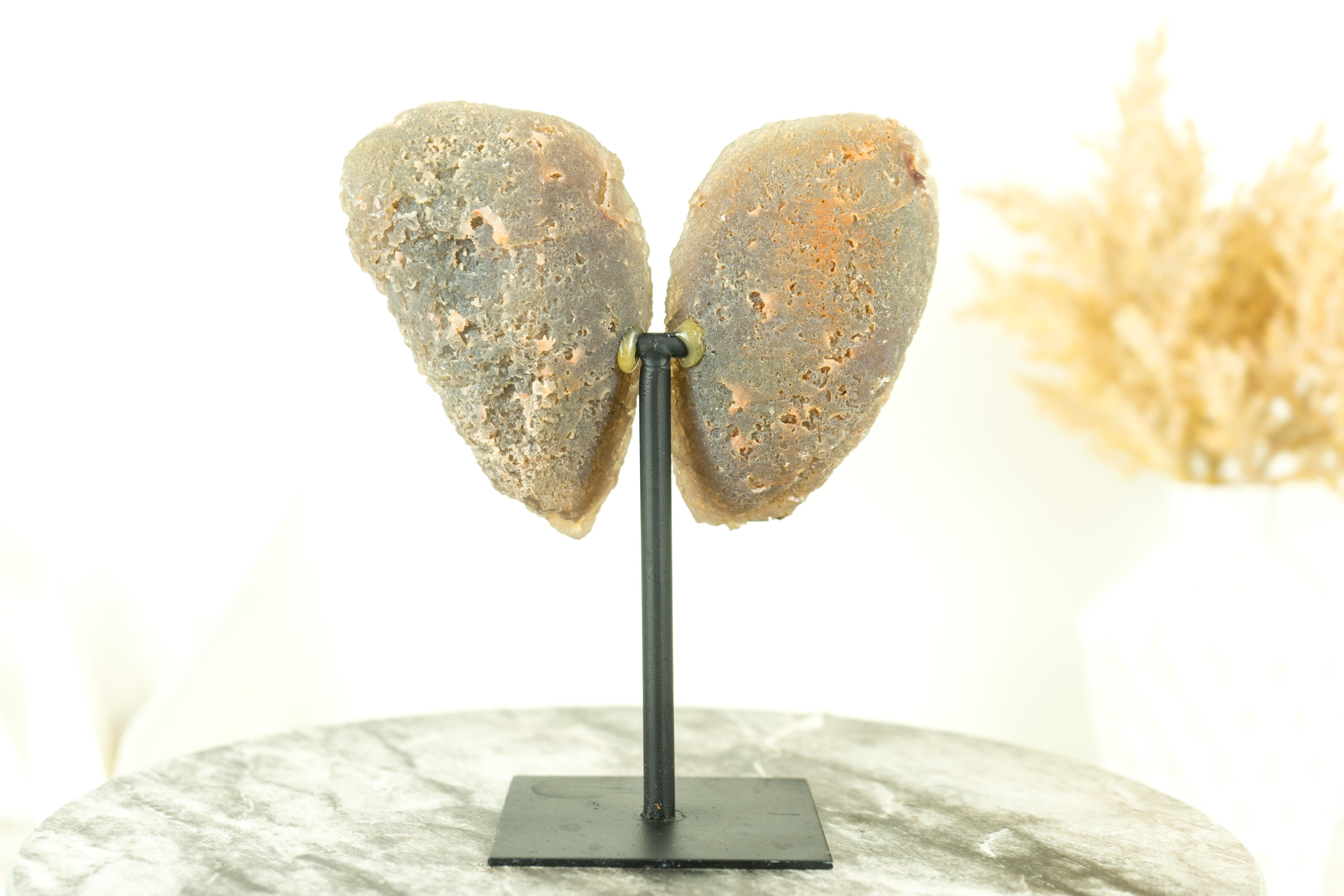 Brazilian Collector Grade Water Lined Agate Geode, cut in Butterfly Wings Format For Sale