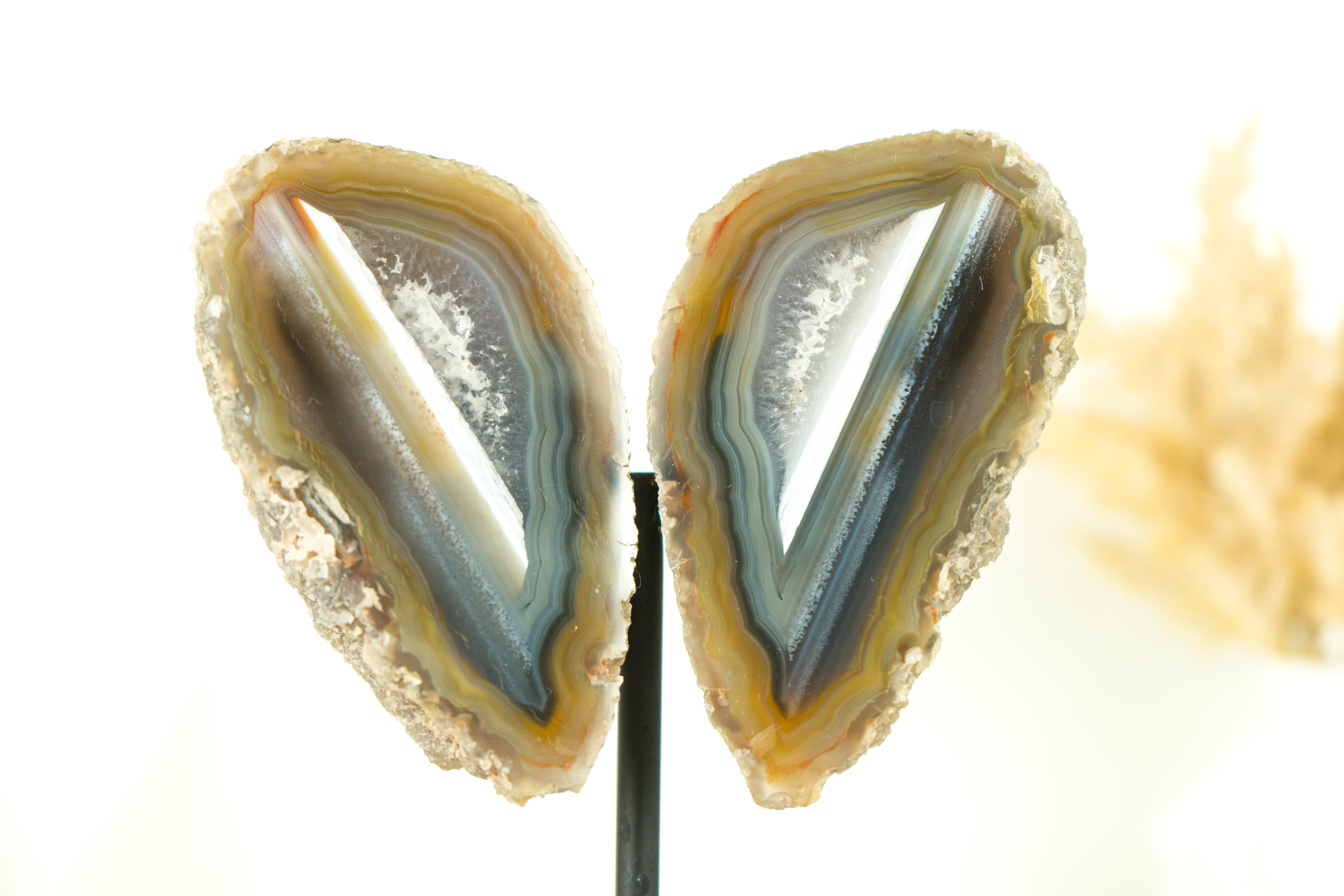 Contemporary Collector Grade Water Lined Agate Geode, cut in Butterfly Wings Format For Sale