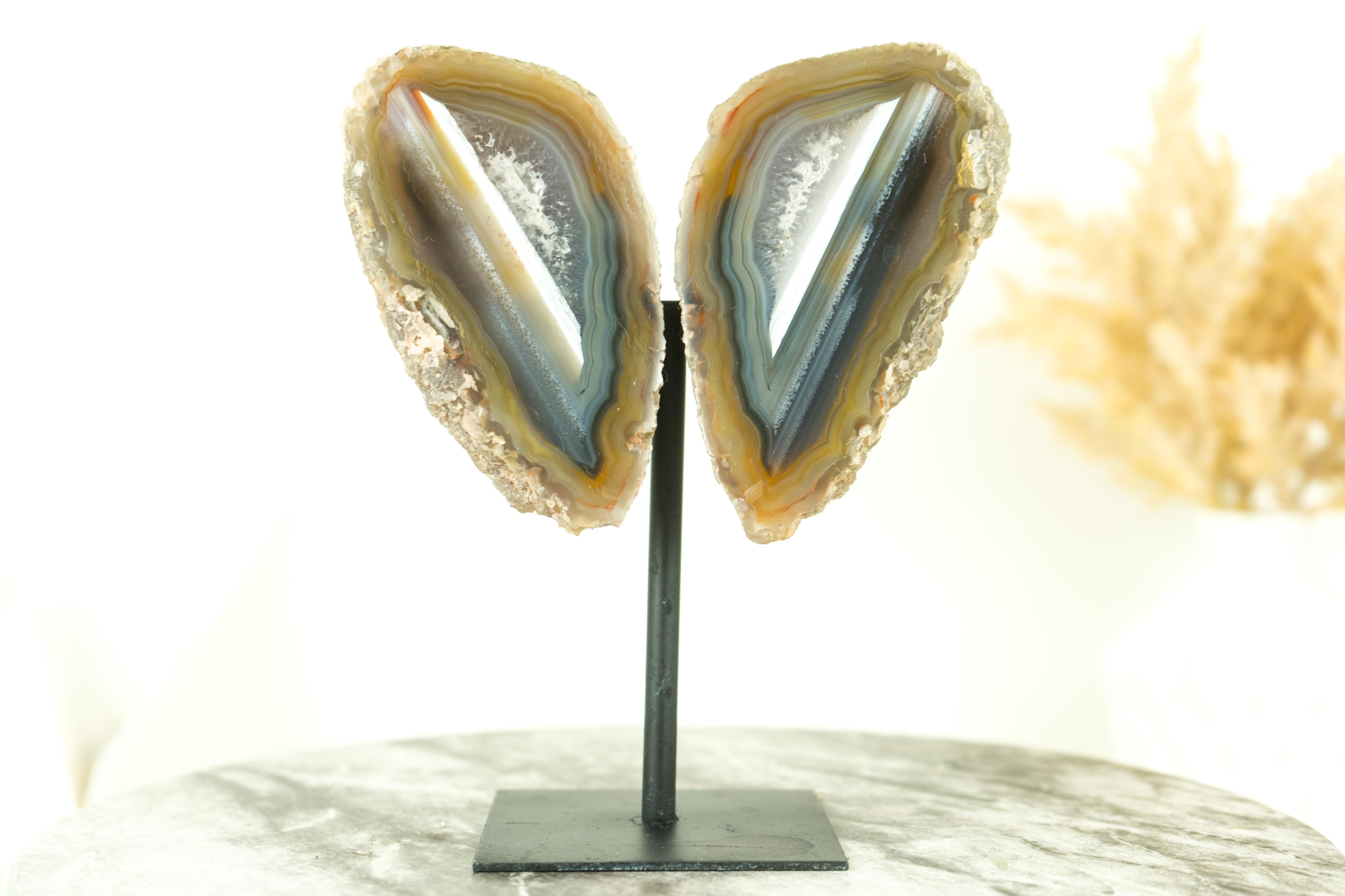 Collector Grade Water Lined Agate Geode, cut in Butterfly Wings Format For Sale 1