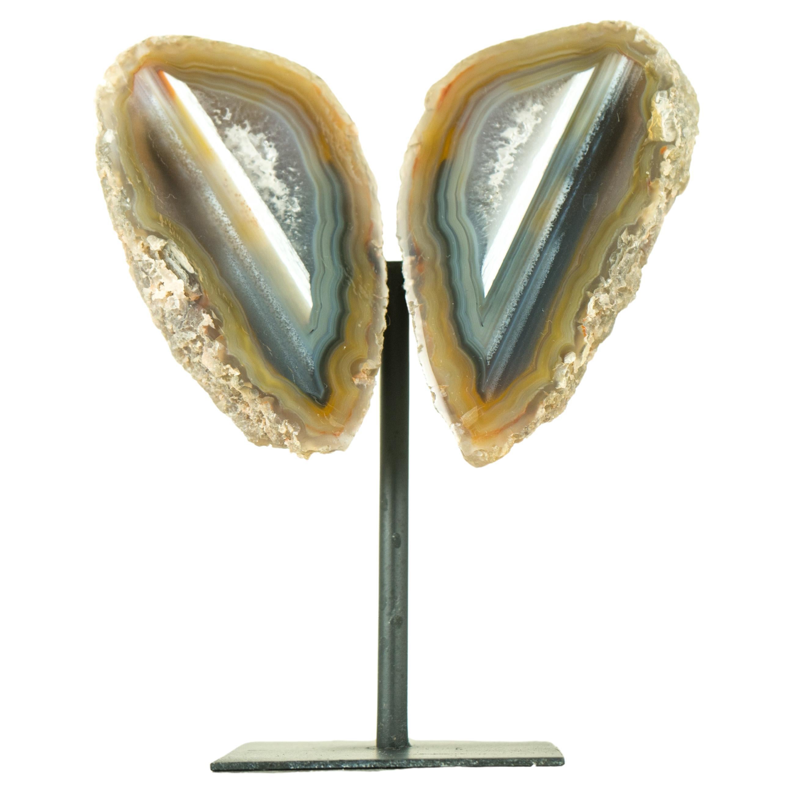 Collector Grade Water Lined Agate Geode, cut in Butterfly Wings Format