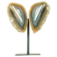 Collector Grade Water Lined Achat Geode, geschliffen im Butterfly Wings Format