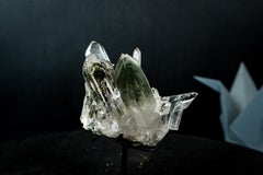 Quartz fantôme à chlorite verte de collection