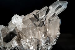 Sammler Lemurian Seed Quarz Cluster