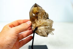 Collector Natural Cognac Citrine Quartz Crystal