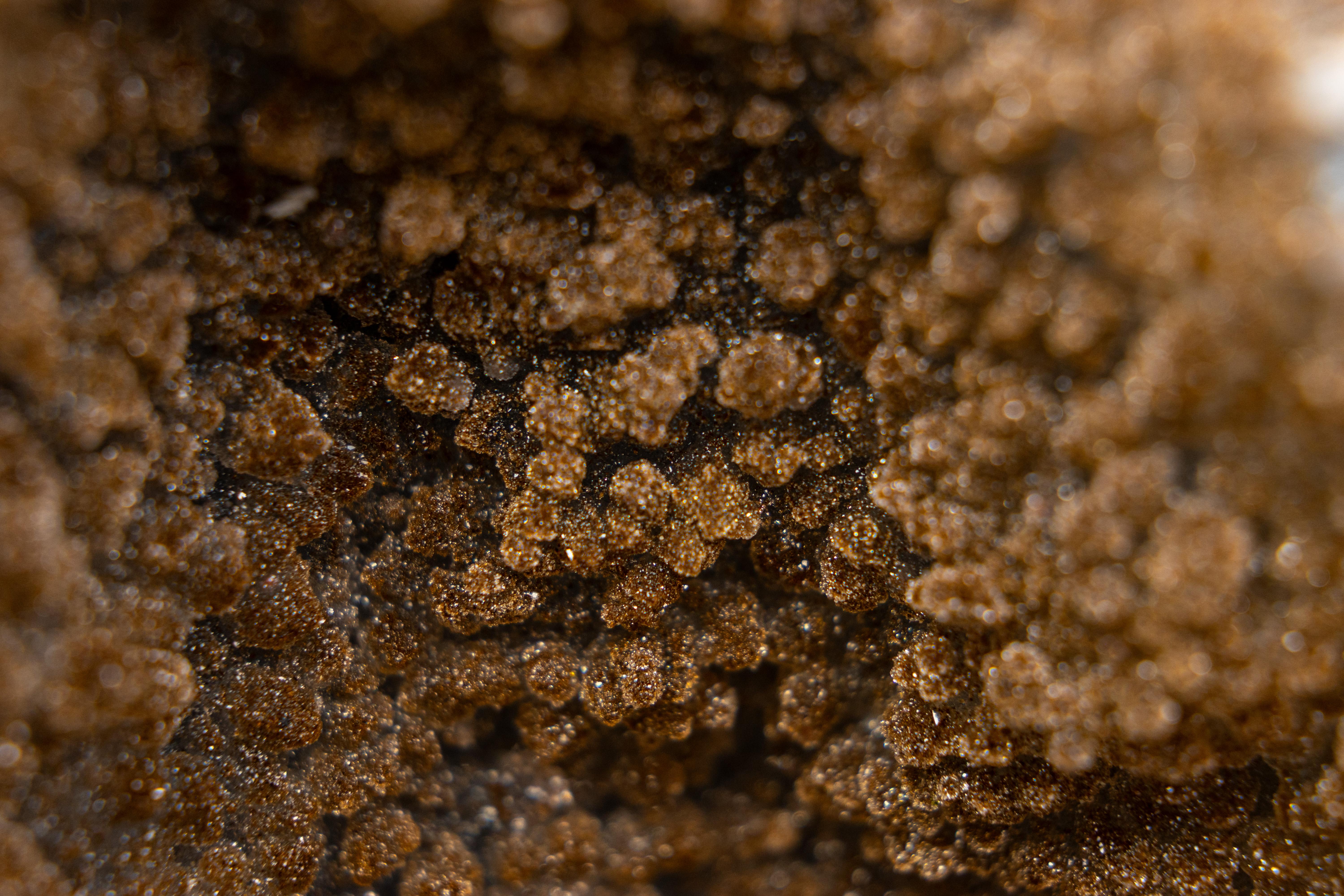 Bi-Color-Achat-Geode mit funkelndem Zucker-Druzy und weißem Amethyst für Sammler (Kristall) im Angebot