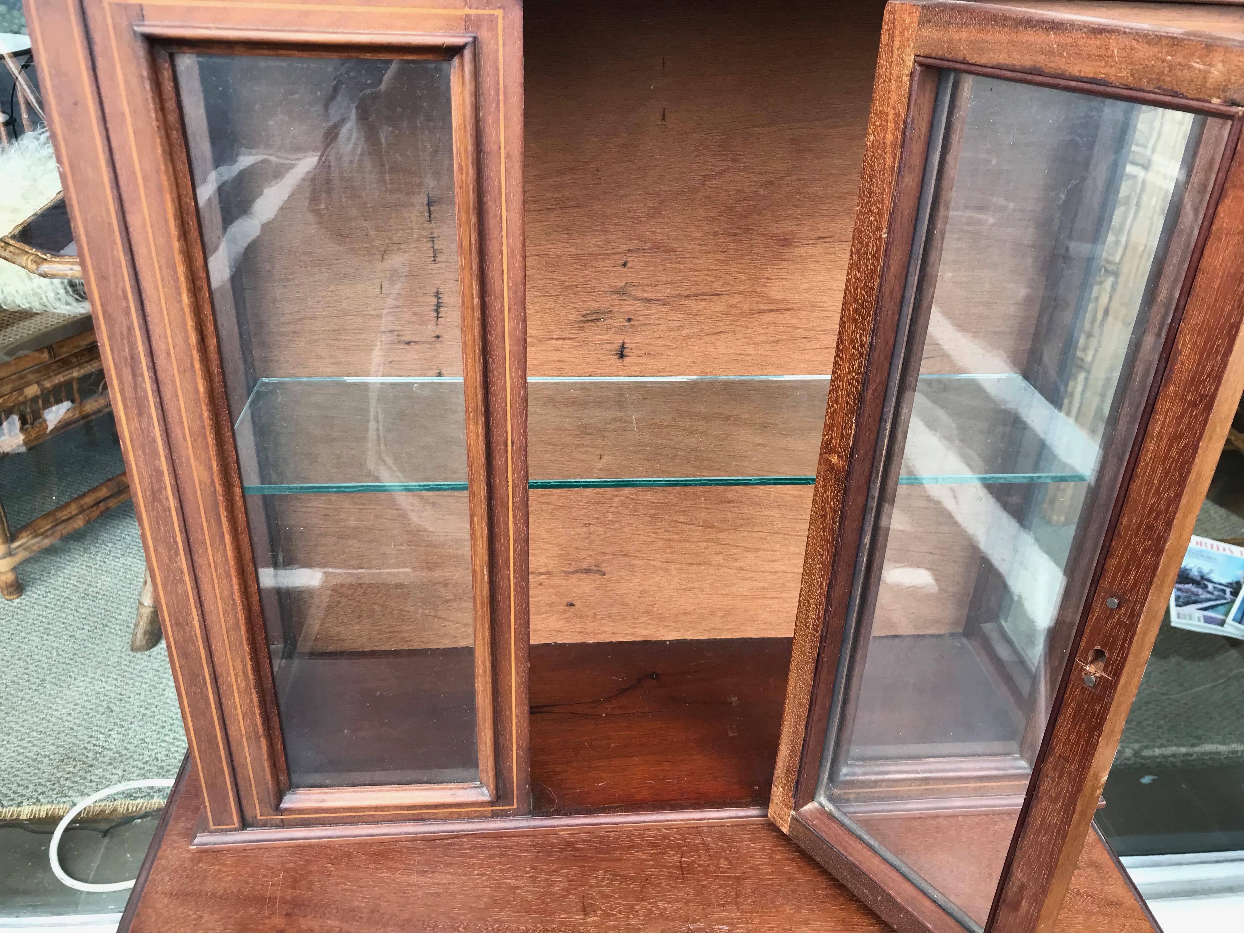 Collectors Cabinet / Vitrine 2