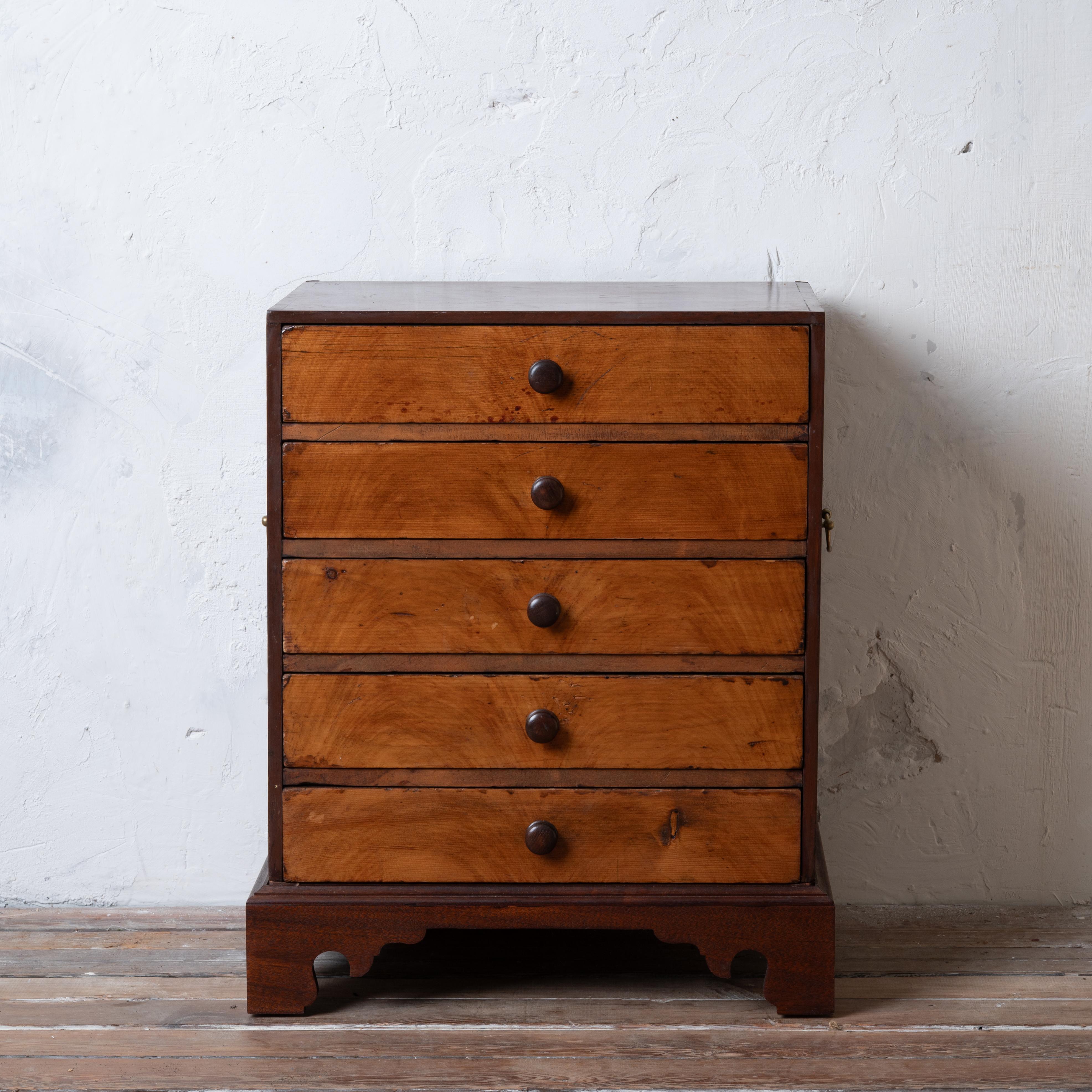 Collectors Chest, 19th Century For Sale 4