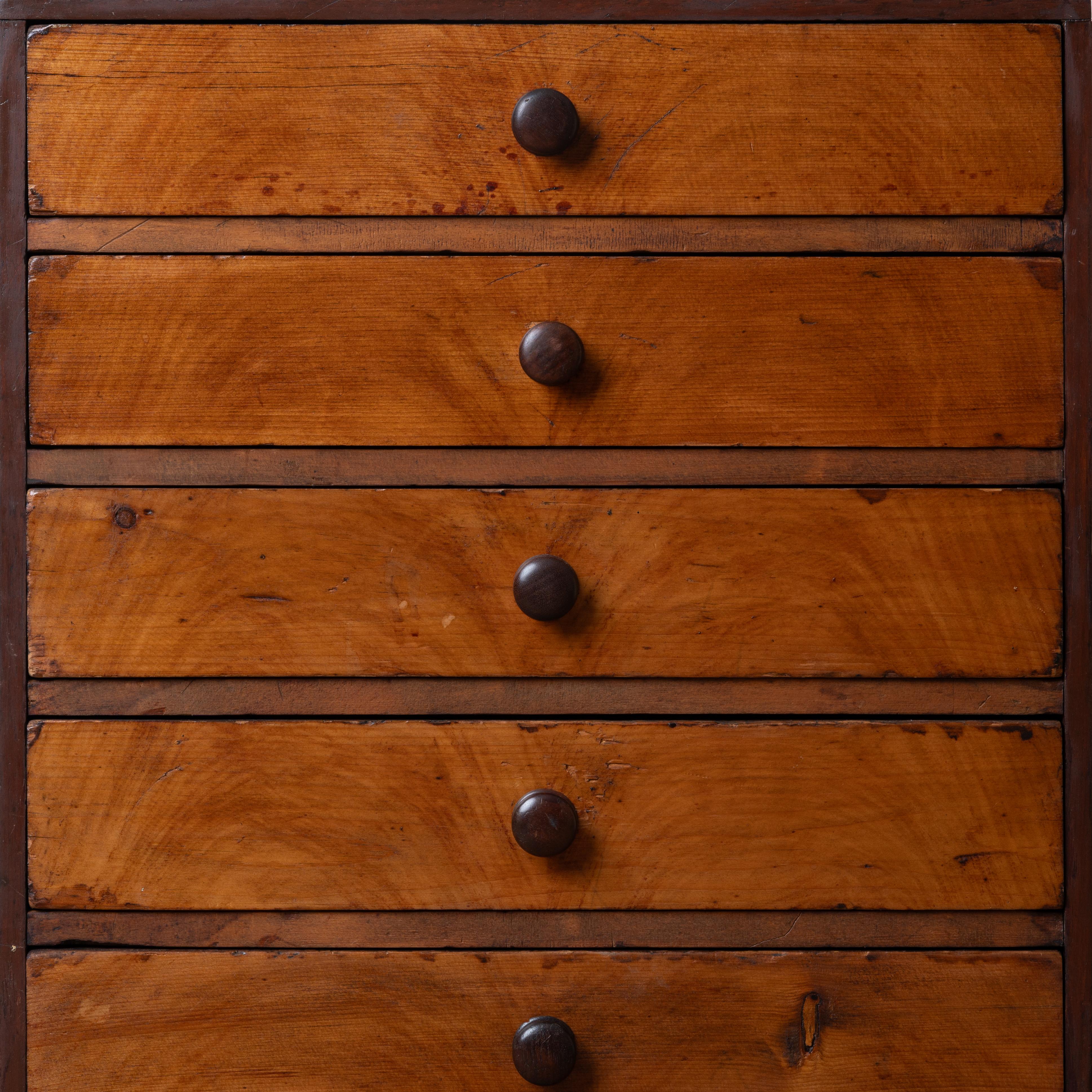 Collectors Chest, 19th Century For Sale 5