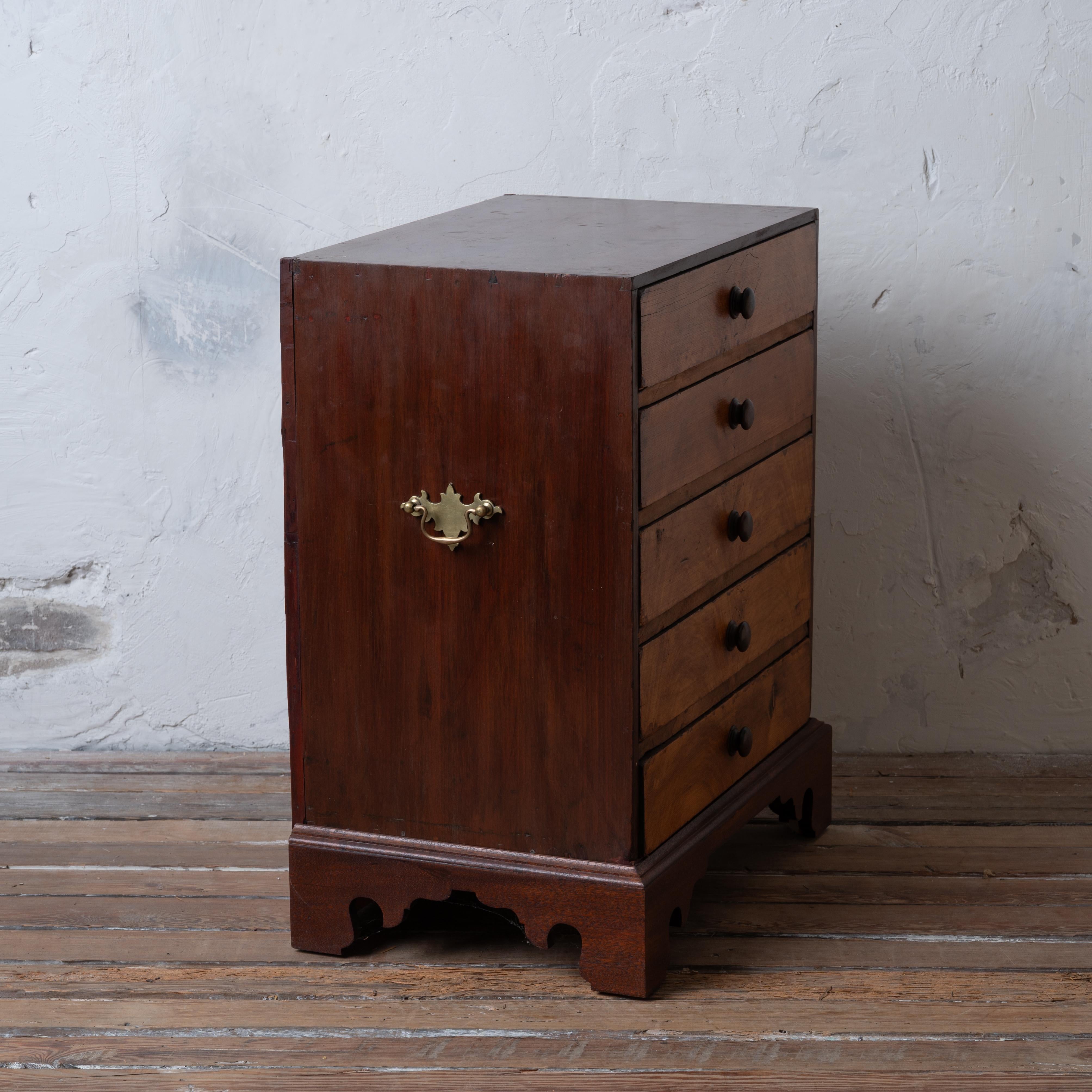 Collectors Chest, 19th Century For Sale 9