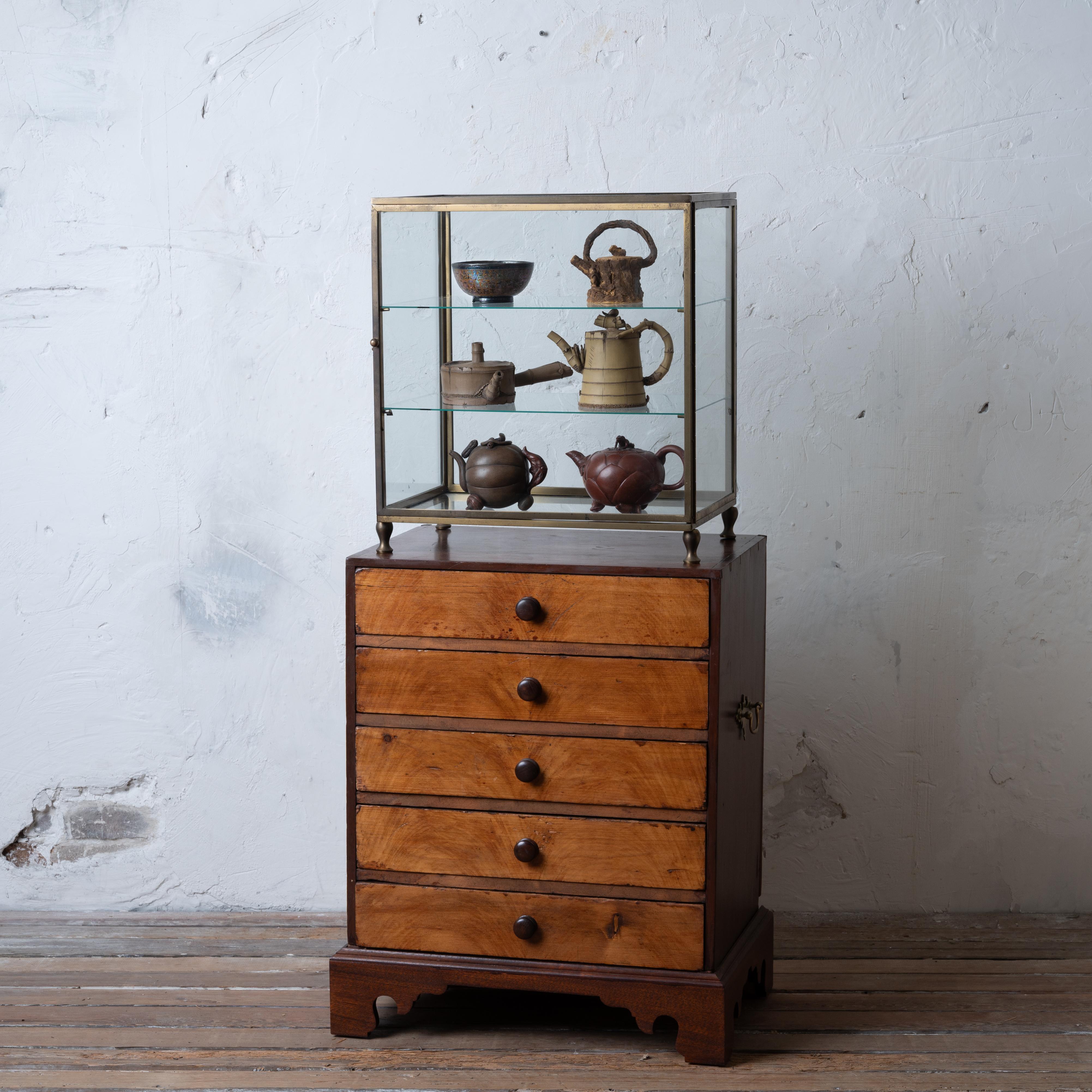 American Collectors Chest, 19th Century For Sale