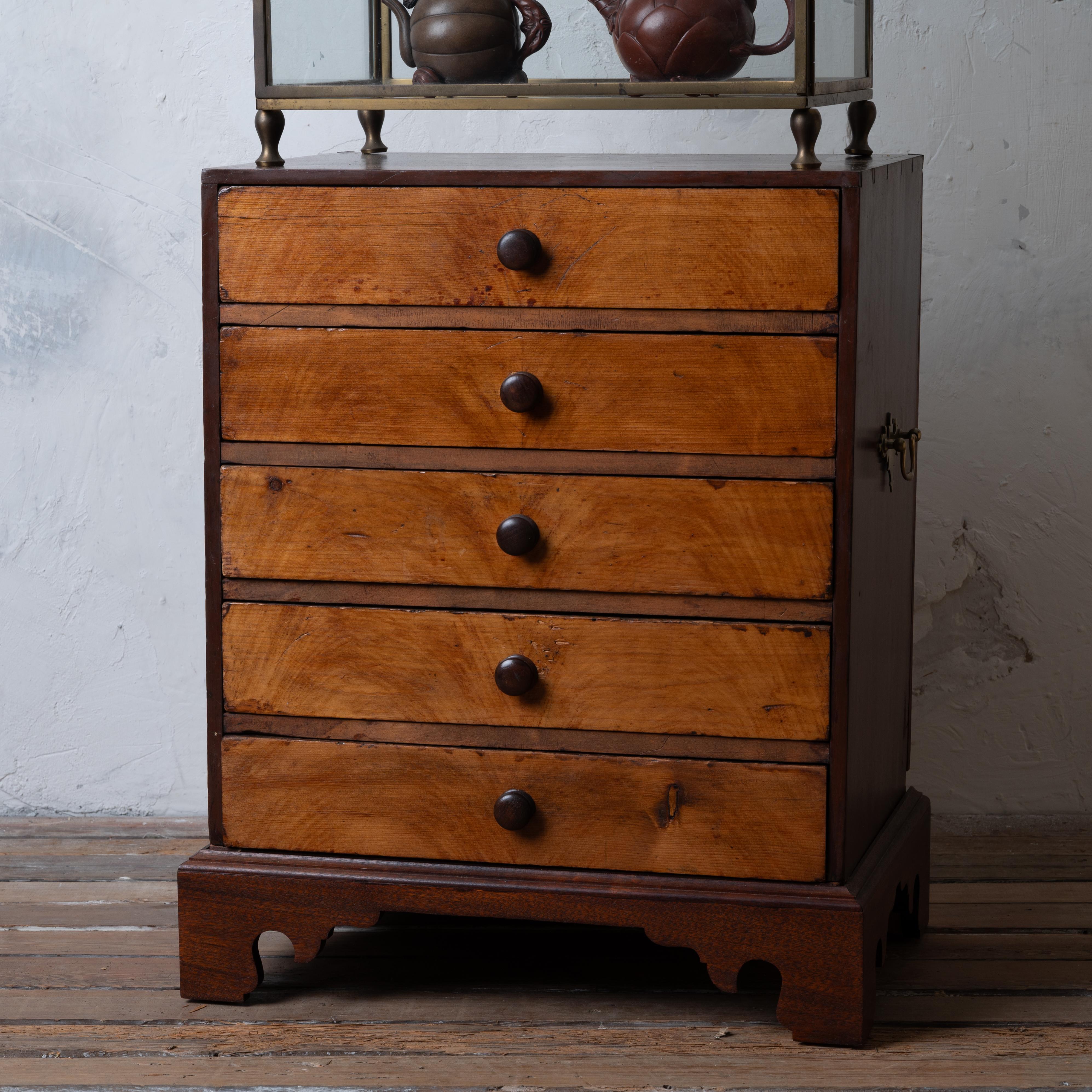 Collectors Chest, 19th Century In Good Condition For Sale In Savannah, GA