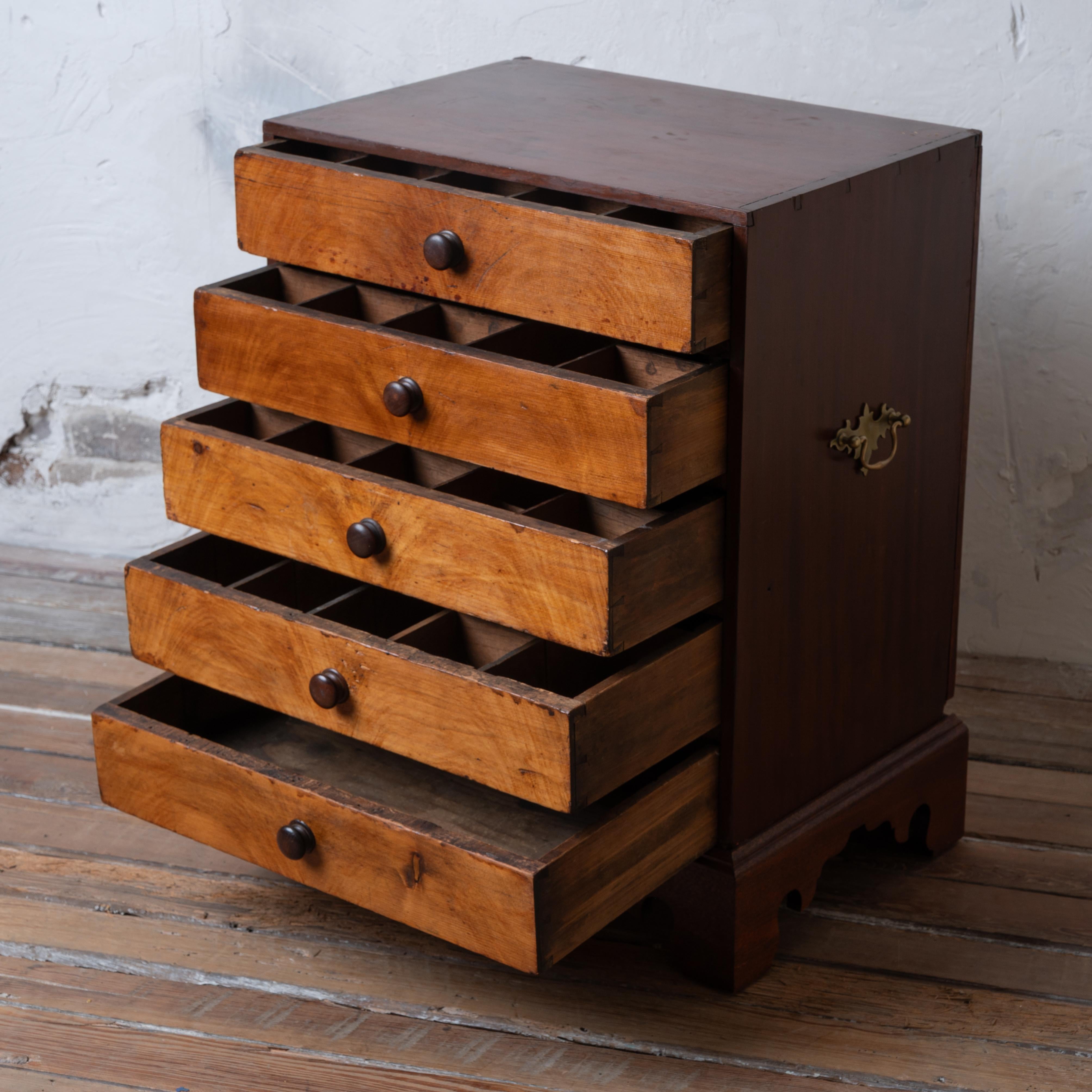 Collectors Chest, 19th Century For Sale 1