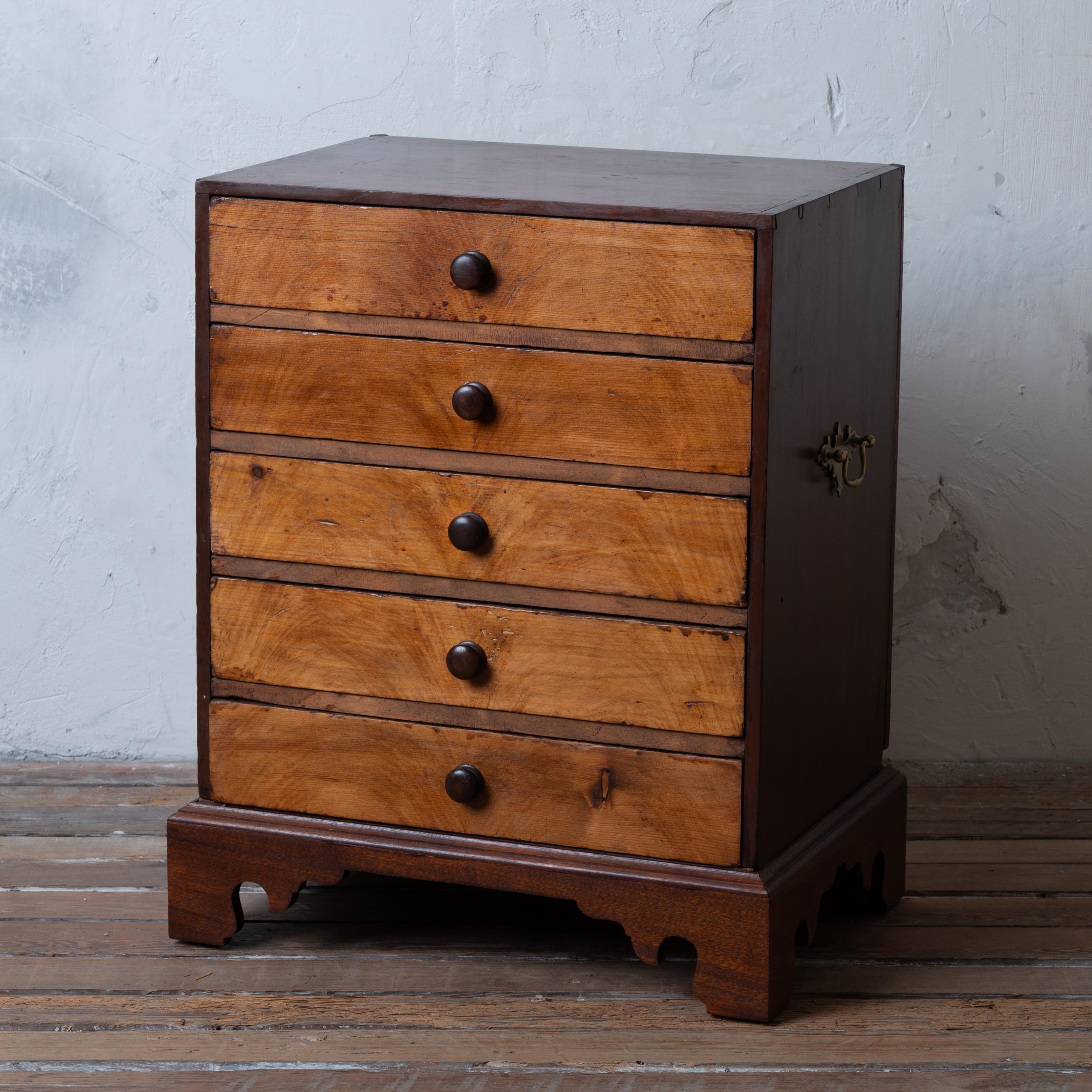 Collectors Chest, 19th Century For Sale 2