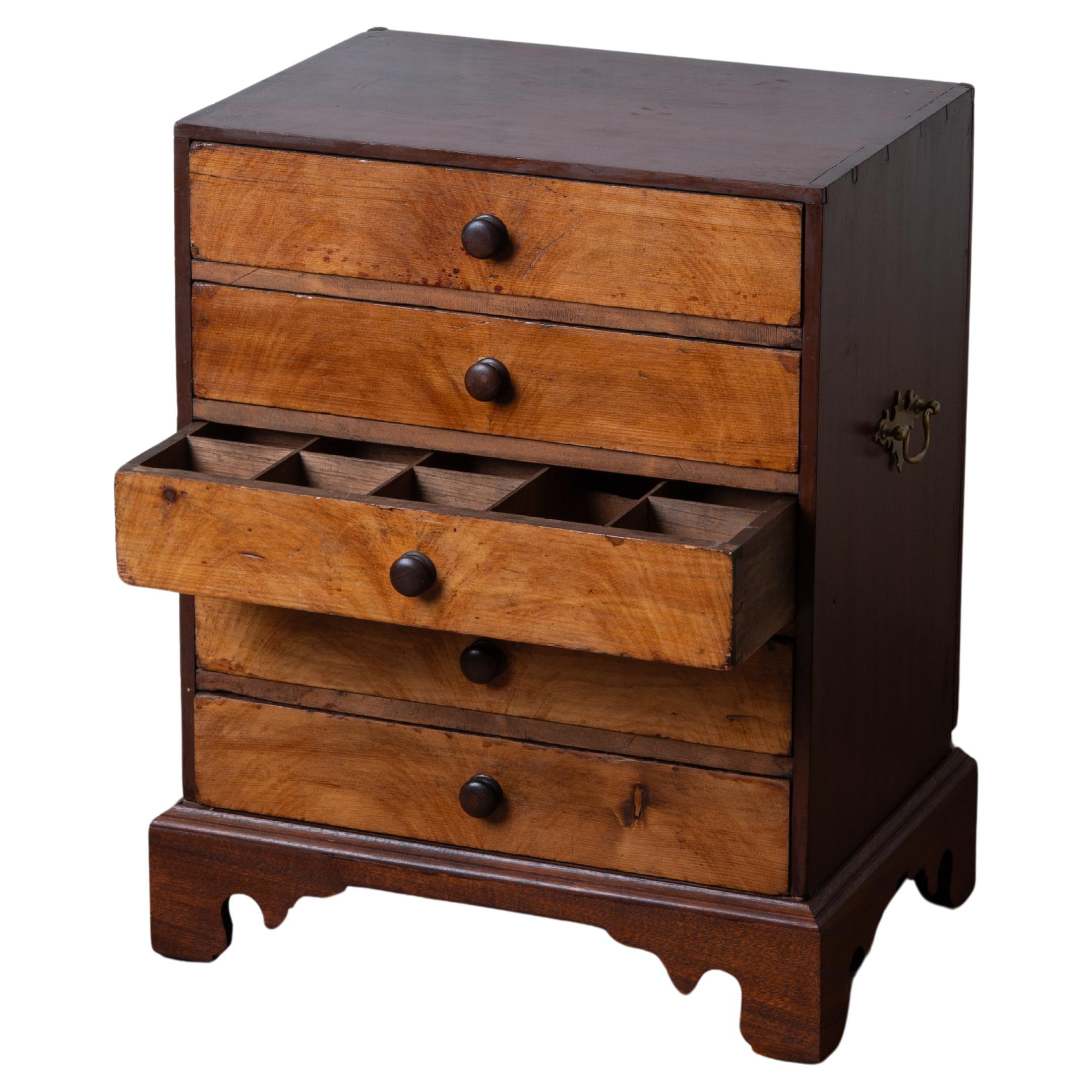 Collectors Chest, 19th Century For Sale