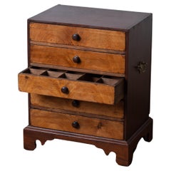 Collectors Chest, 19th Century