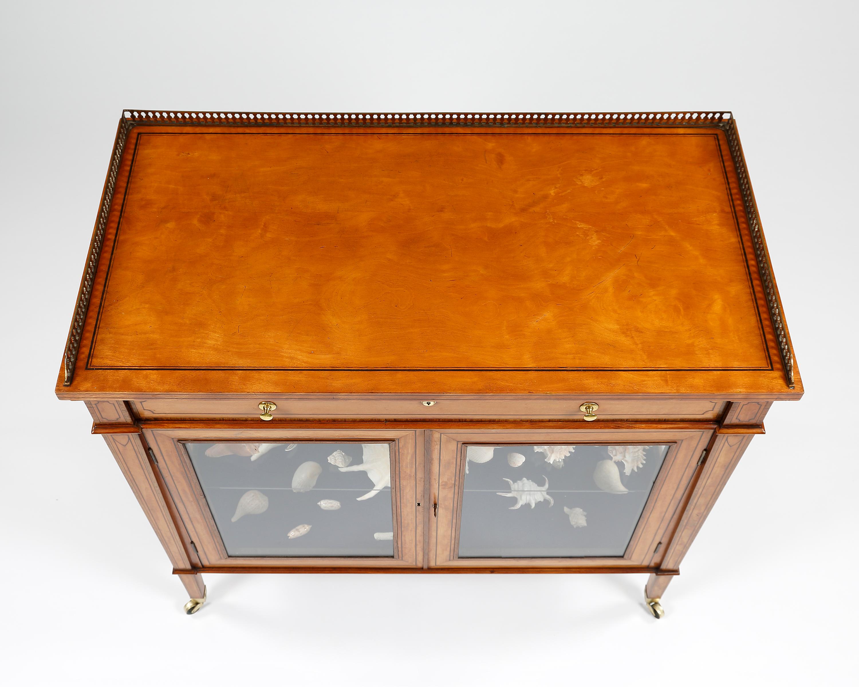 English Collectors Display Cabinet