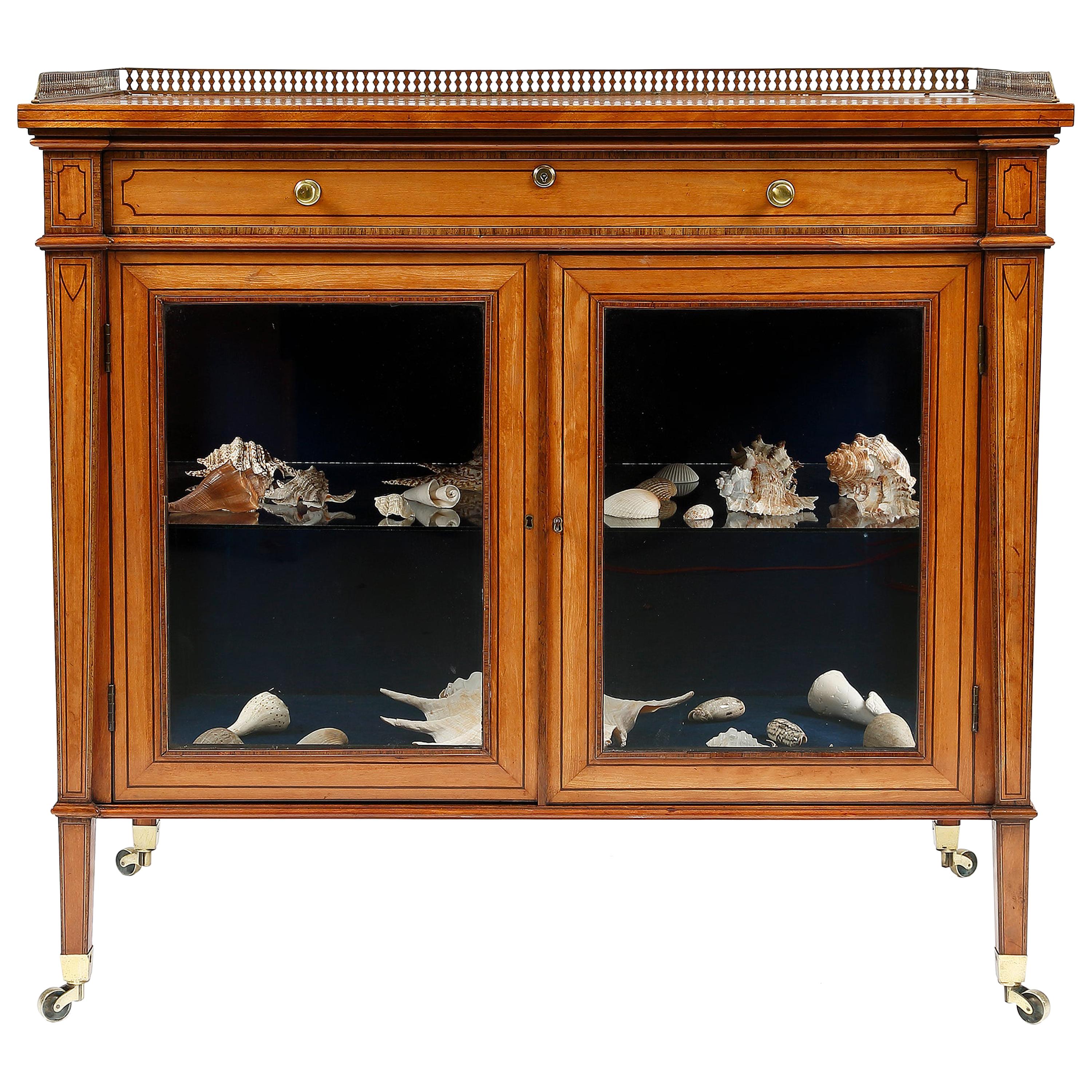 Collectors Display Cabinet