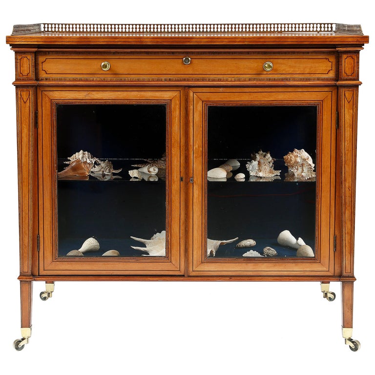 Collectors Display at 1stDibs