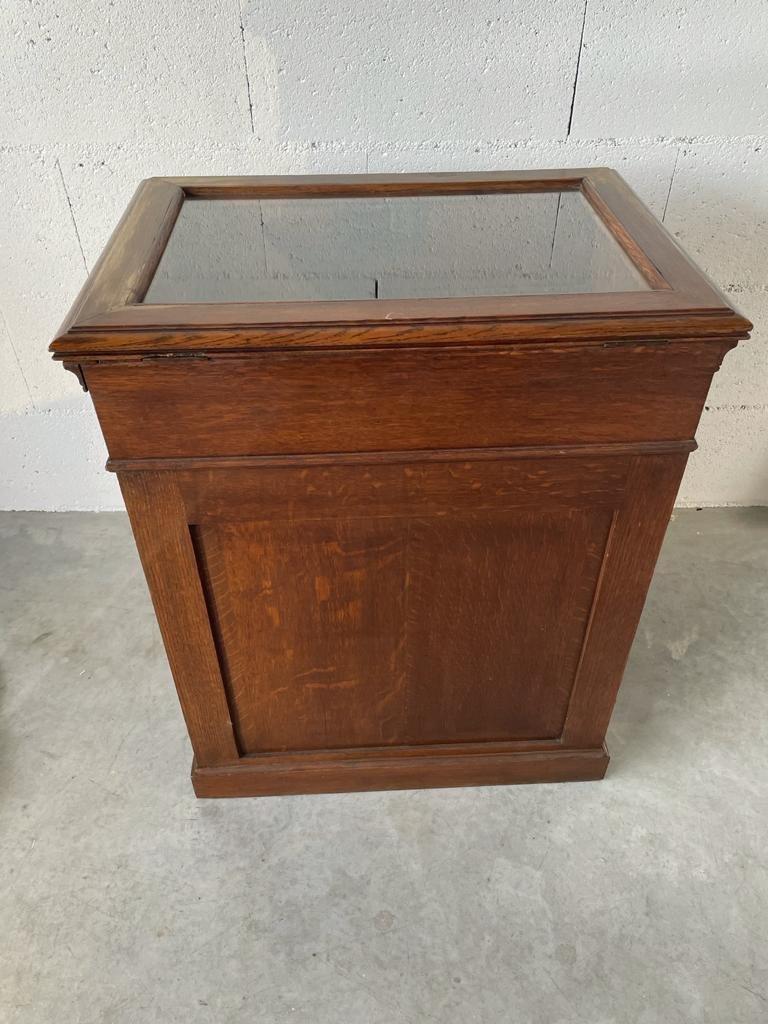 19th Century Collectors Furniture, Solid Oak, Period: Louis-Philippe, circa: 1835-1840 For Sale