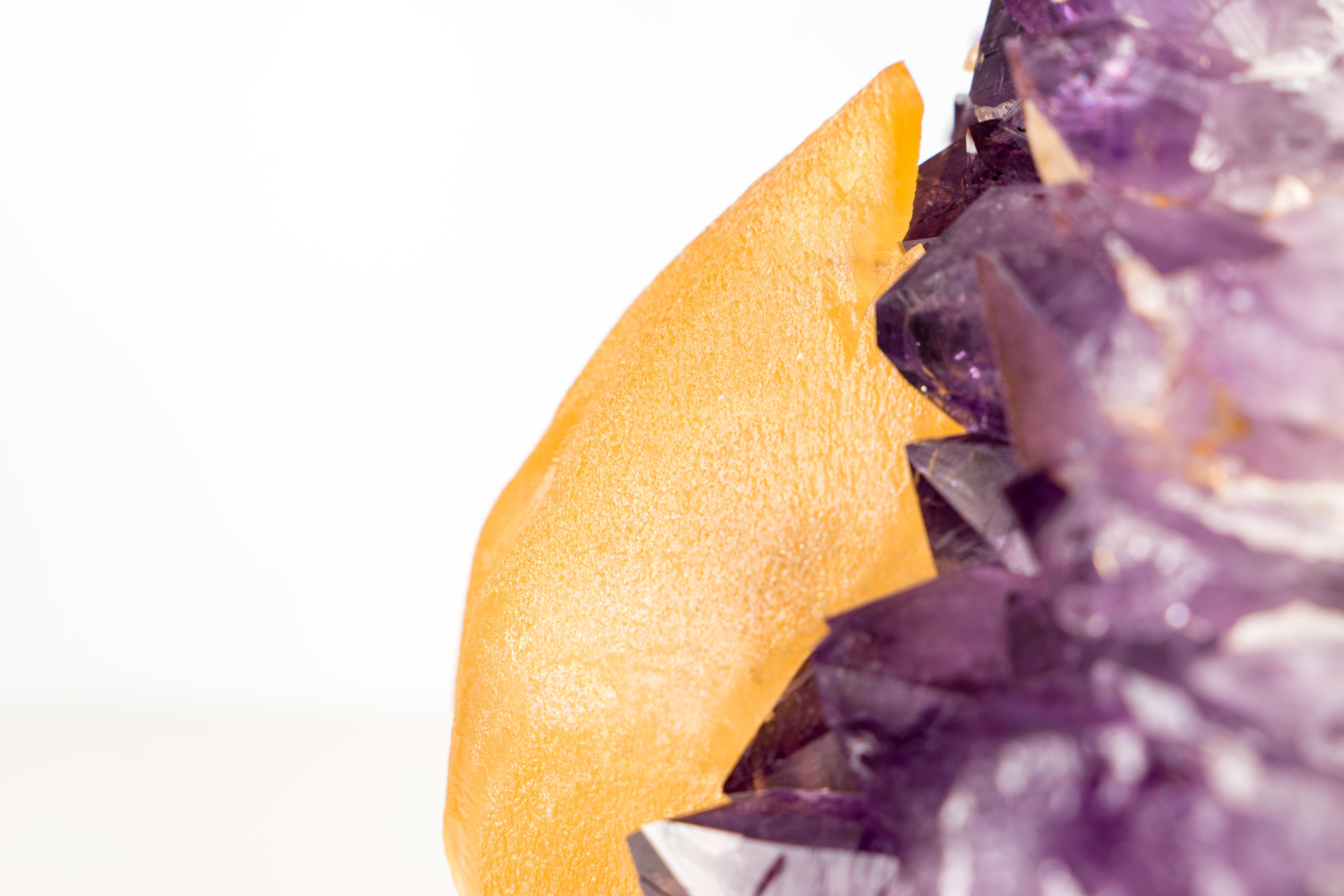 XXI secolo e contemporaneo Calcite dorata da collezione su cluster di ametista viola intenso in vendita