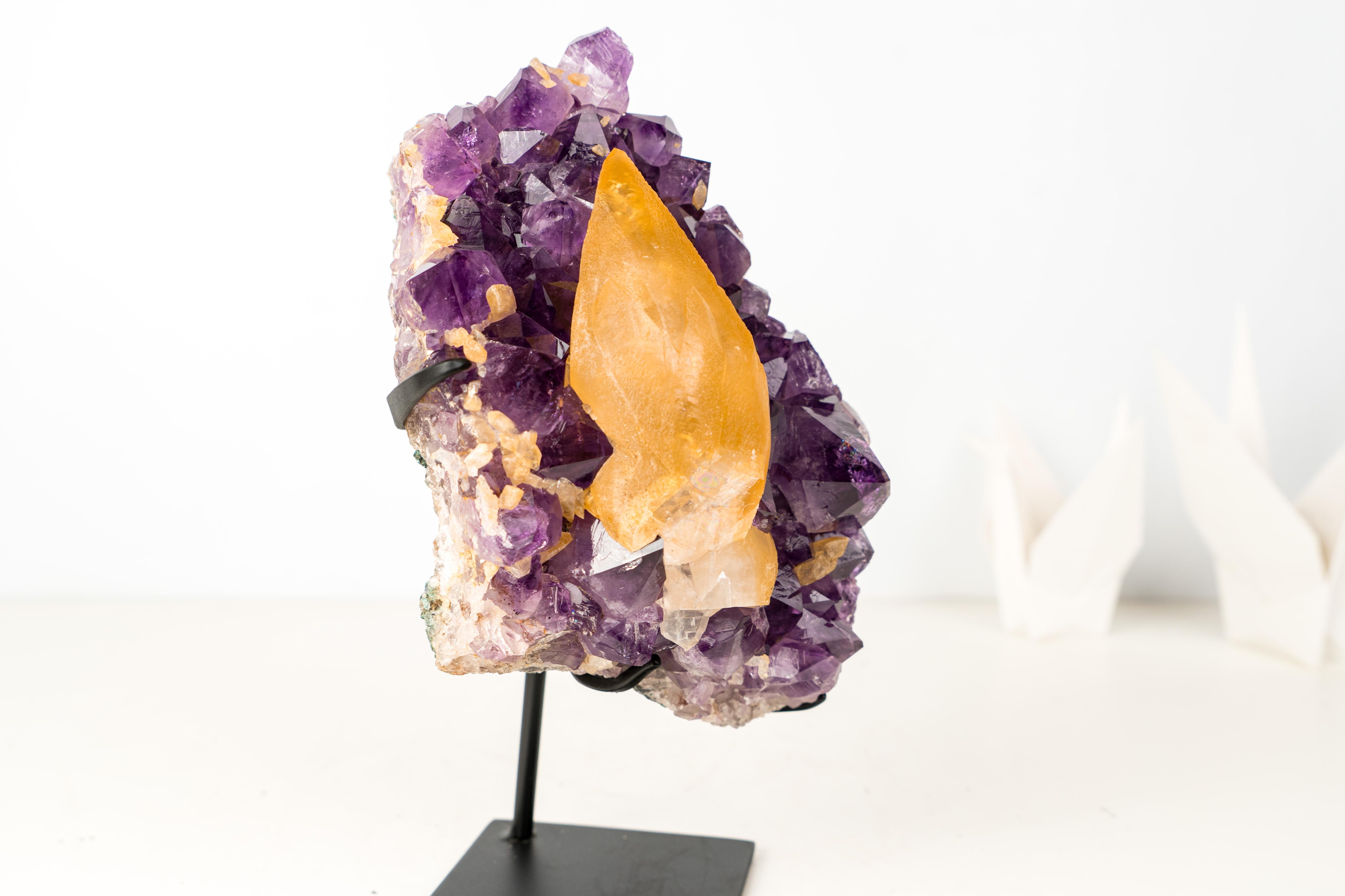 Calcite dorata da collezione su cluster di ametista viola intenso in vendita 2