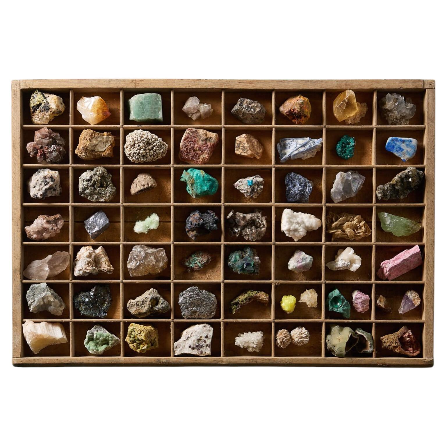 Collector’s Tray of 56 Fossil Specimens Including Selenite, Thulite & Cavansite For Sale