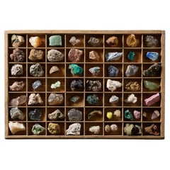 Vassoio da collezione con 56 esemplari di fossili, tra cui selenite, tulite e cavansite