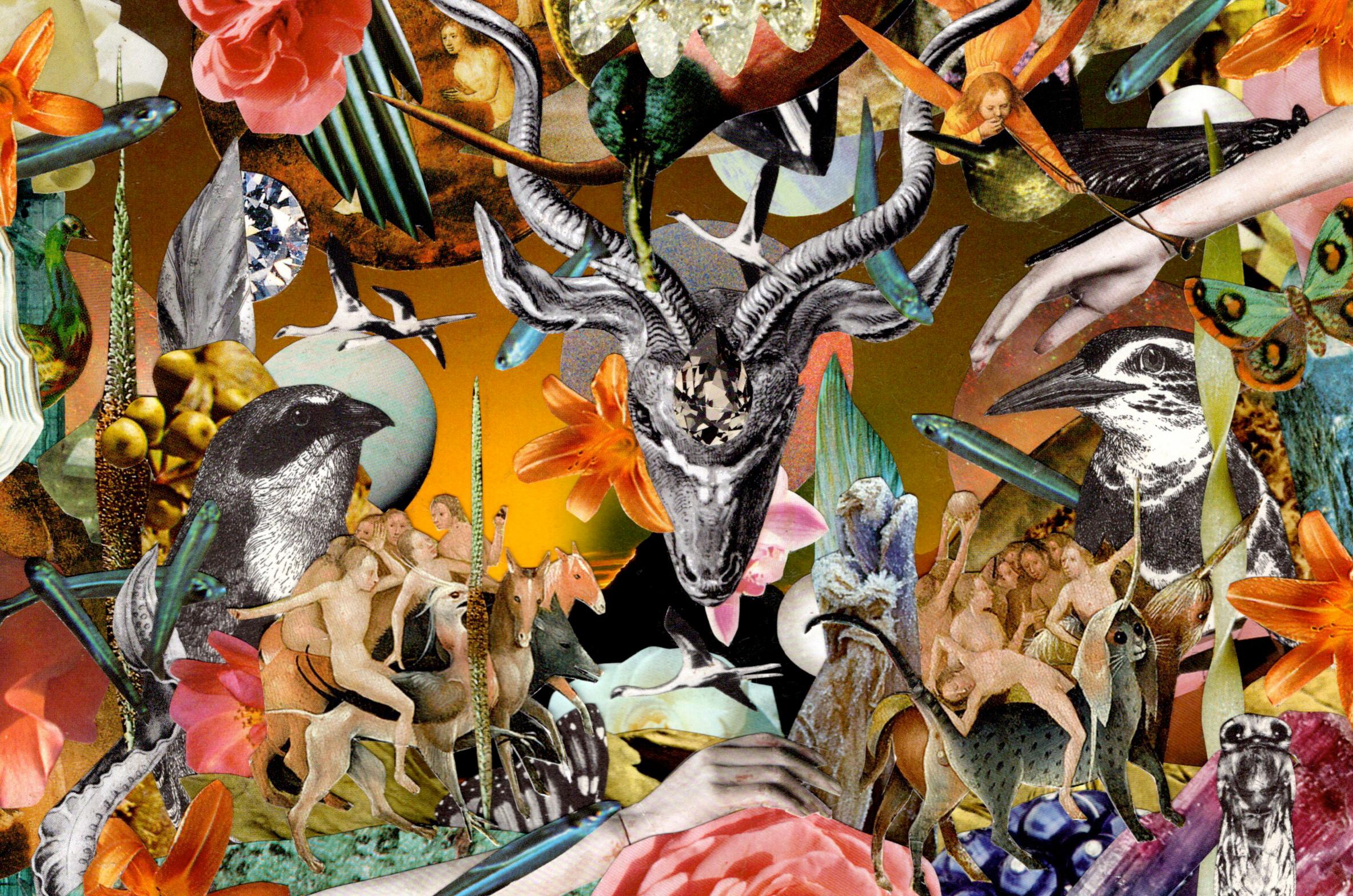 Antilopinae : contemporary collage - Mixed Media Art by Colleen Cunningham