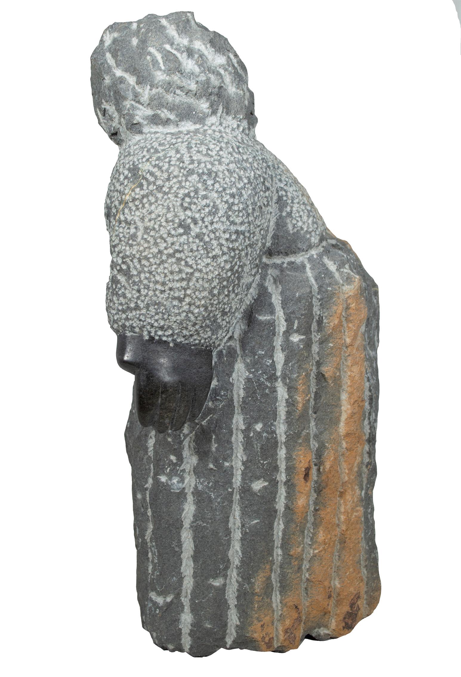 'Grandmother' is an original black serpentine sculpture by the celebrated second-generation Shona artist Colleen Madamombe. The sculpture presents a character common to Madamombe's work, a woman with a round face and wearing a billowing dress.