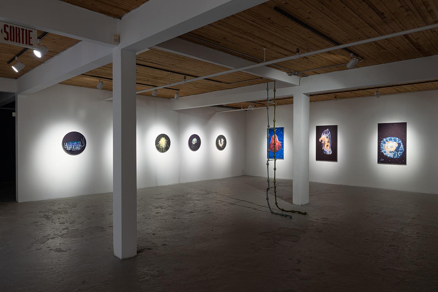 Con Into the Deep Blue Sea, l'artista Colleen Wolstenholme, nata in Nova Scotia e residente nel New Brunswick, presenta una serie di dipinti a olio e disegni a inchiostro delle profondità marine, accompagnati da un'installazione in tenda con