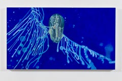 Benthic Ctenophore
