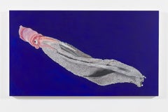 Blanket Squid