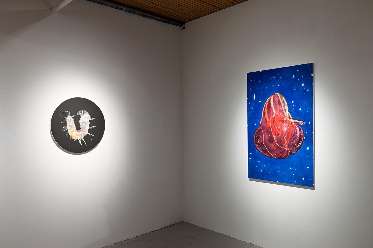 Jalea de Peine de Barriga Sangrienta - Painting Contemporáneo de Colleen Wolstenholme