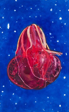 Bloody-Belly Comb Jelly