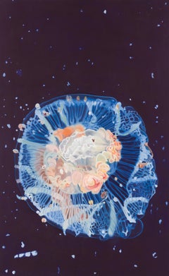 Diplulmaris Antarctica
