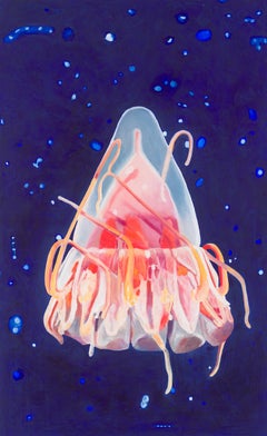Helmet Jellyfish