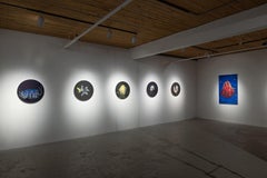 Poliquetos pelágicos